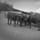 Ferme de Landioche