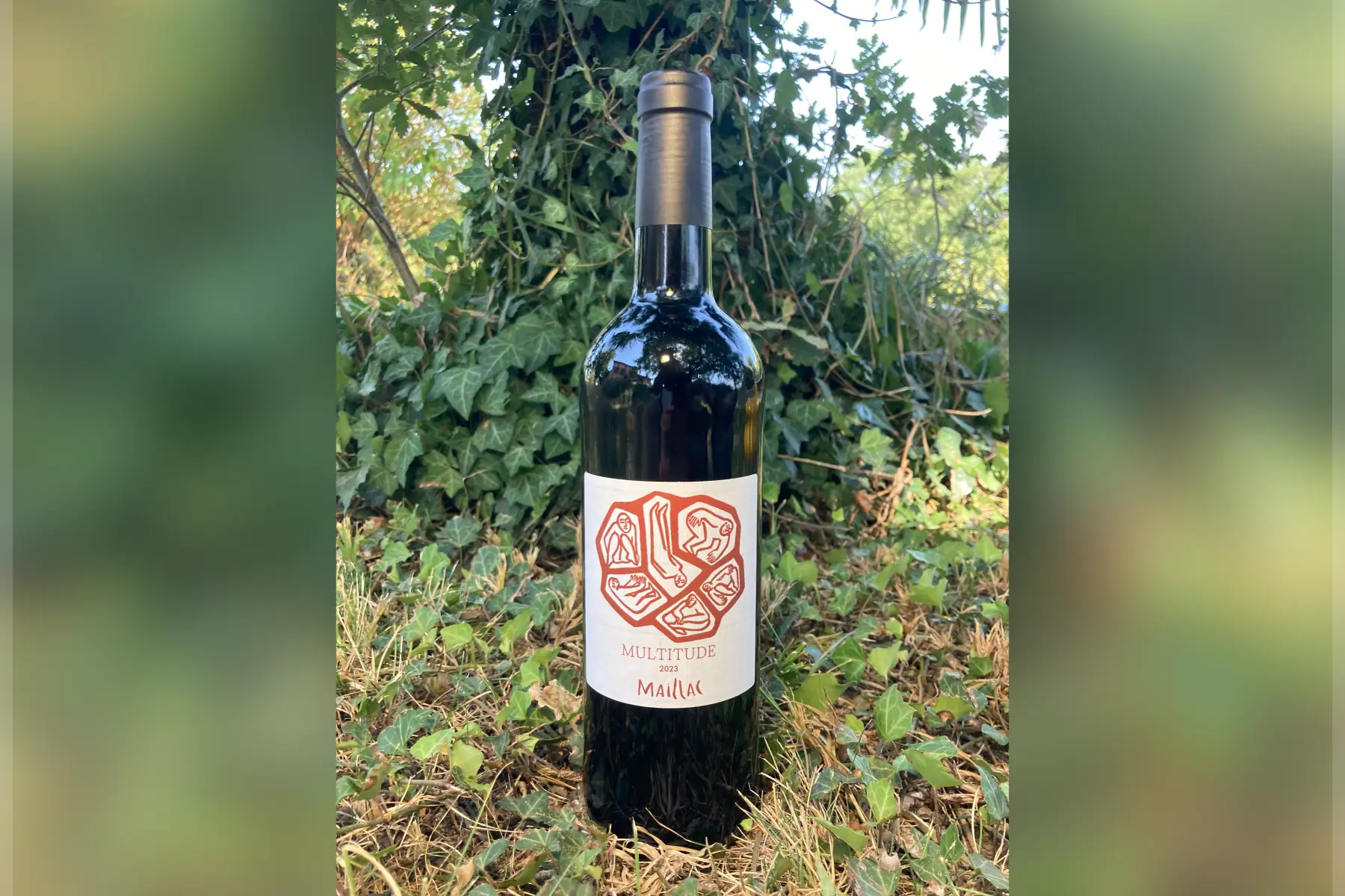 Vin rouge "Multitude" 2024