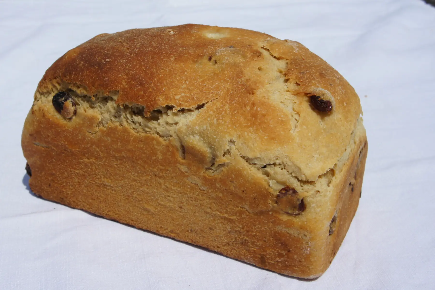 brioche raisin/abricot