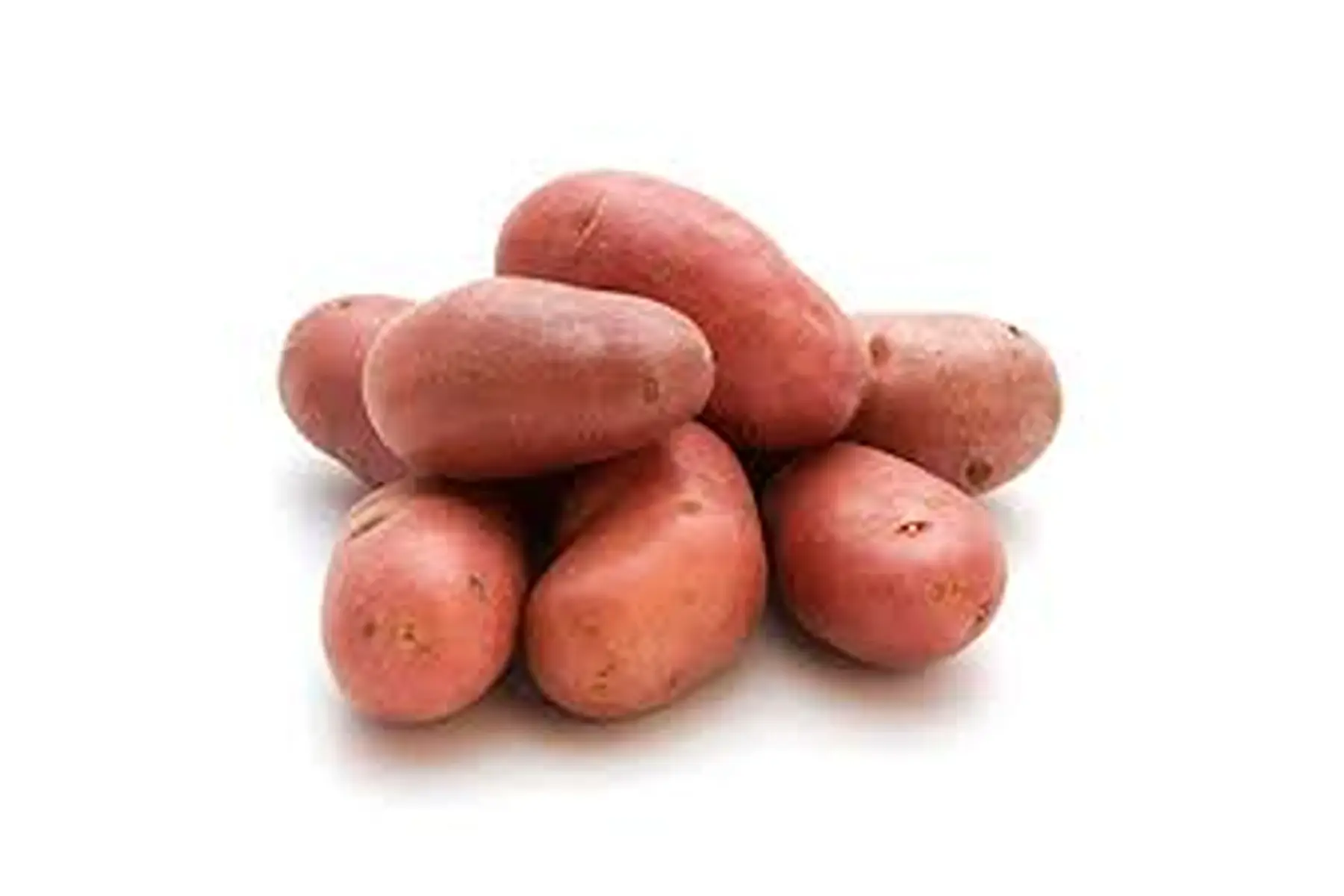 pomme de terre nouvelle 2024 "desiree"