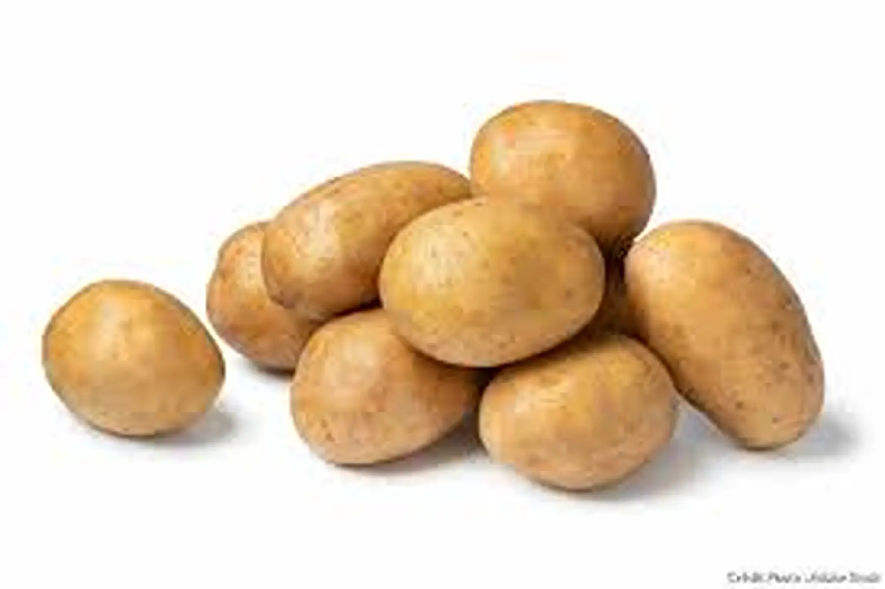 pomme de terre nouvelle 2024 "allians"