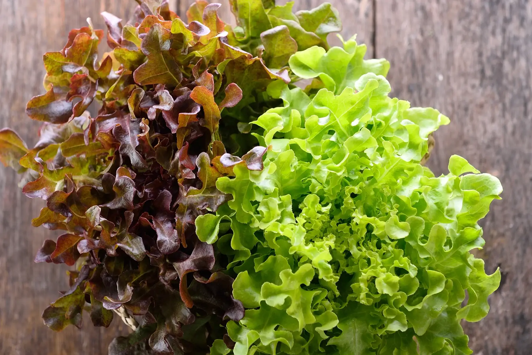Au Jardin Gourmand