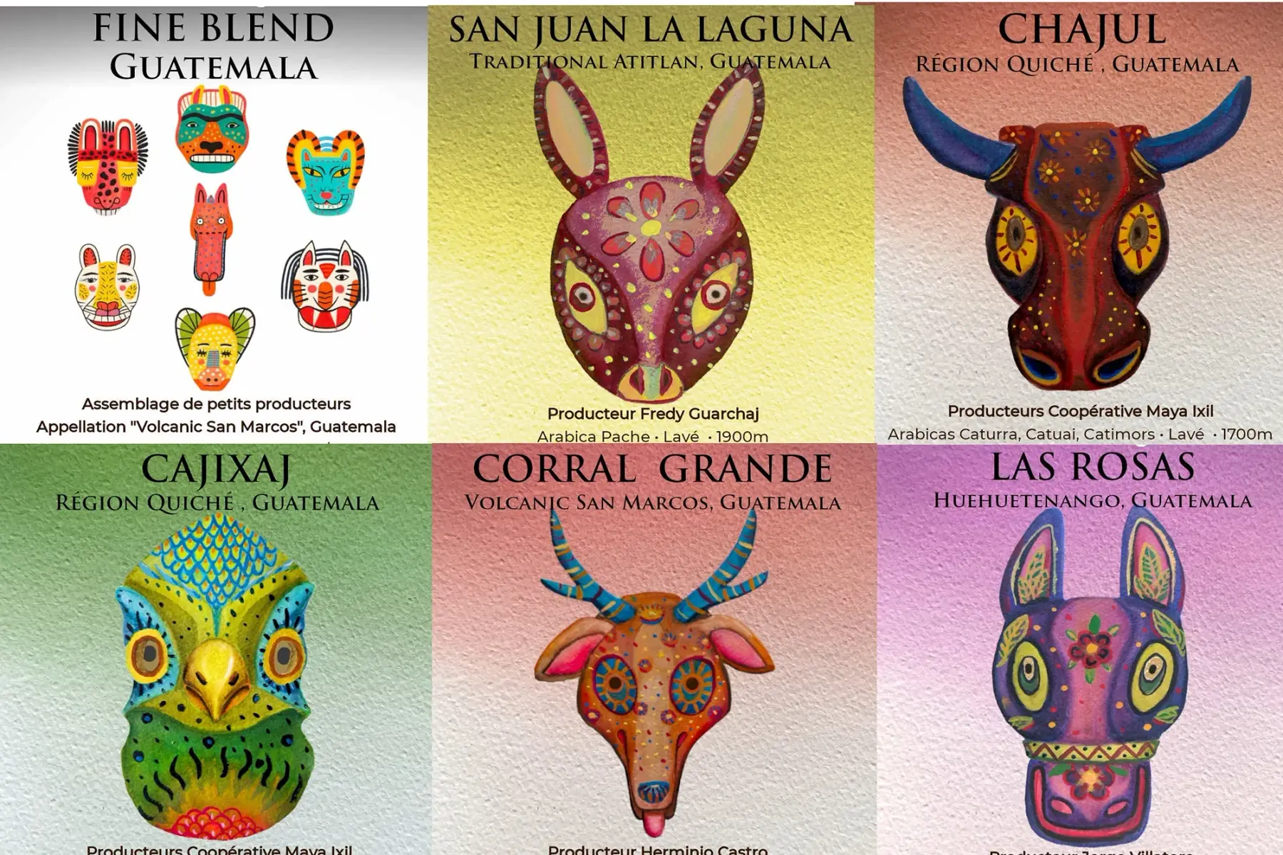 Lot Découverte 6x250gr.