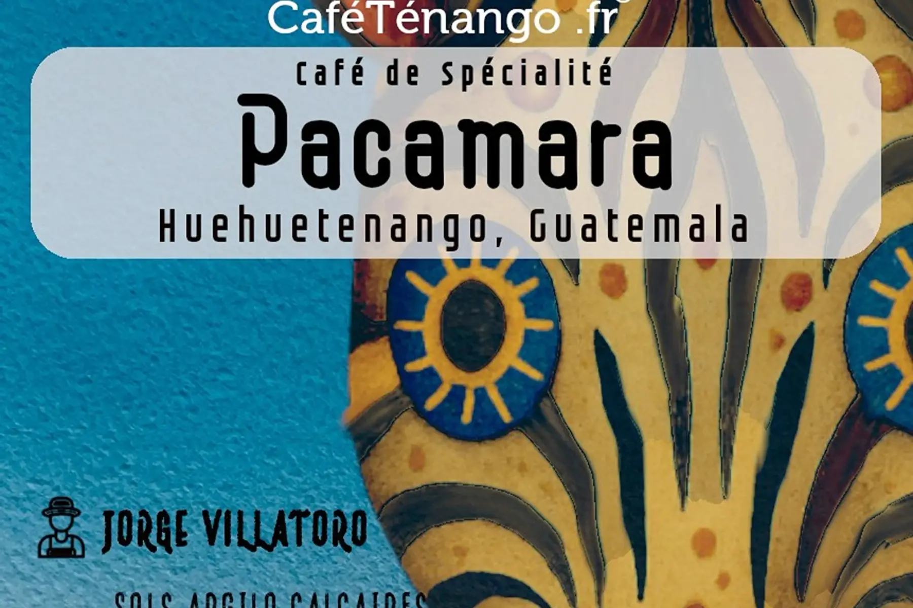 café PACAMARA 2026 - INTENSE / FRUITé et éPIcé