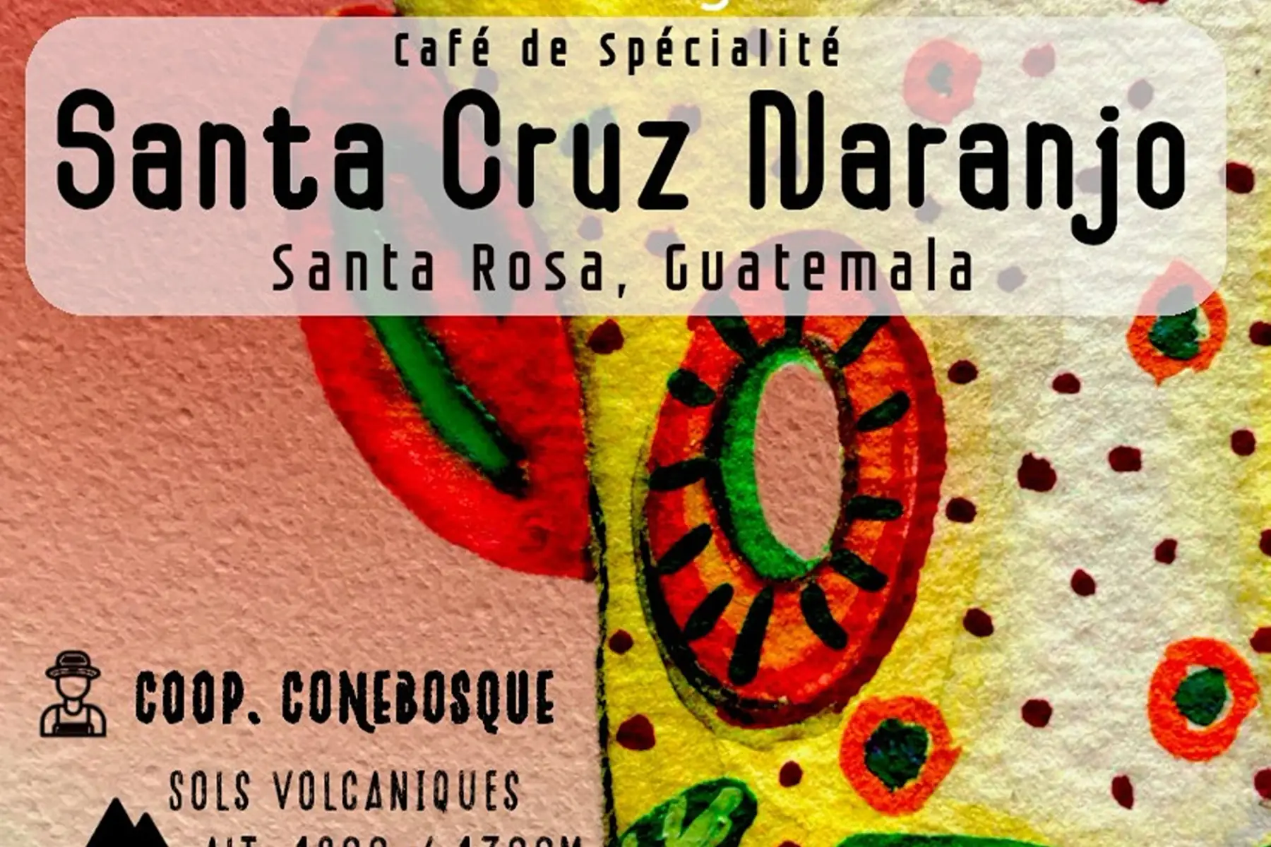 café SANTA CRUZ 2026 - ROND / NOISETTE / SUCRE DE CANNE