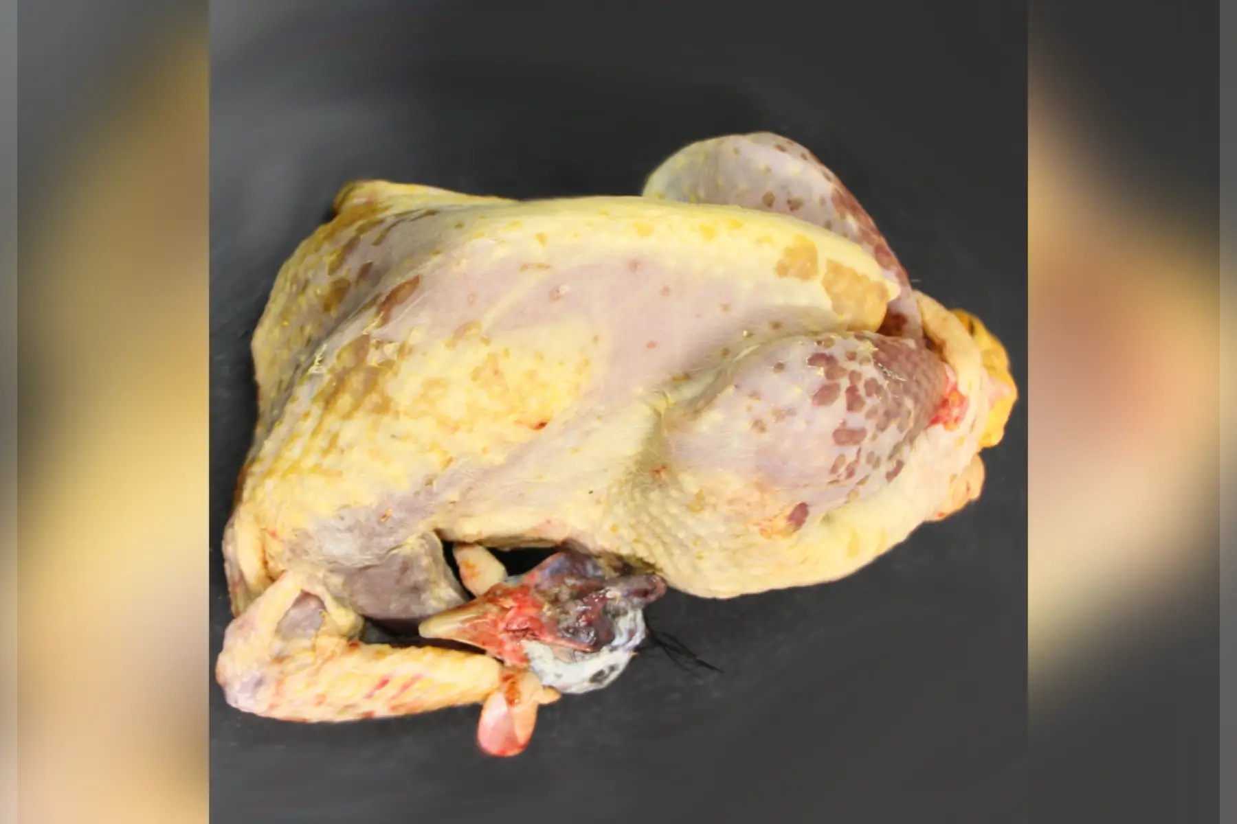 Pintade fermière prête à cuire