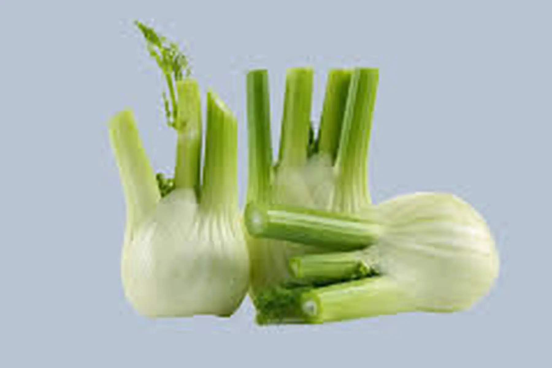 fenouil 8e/kg