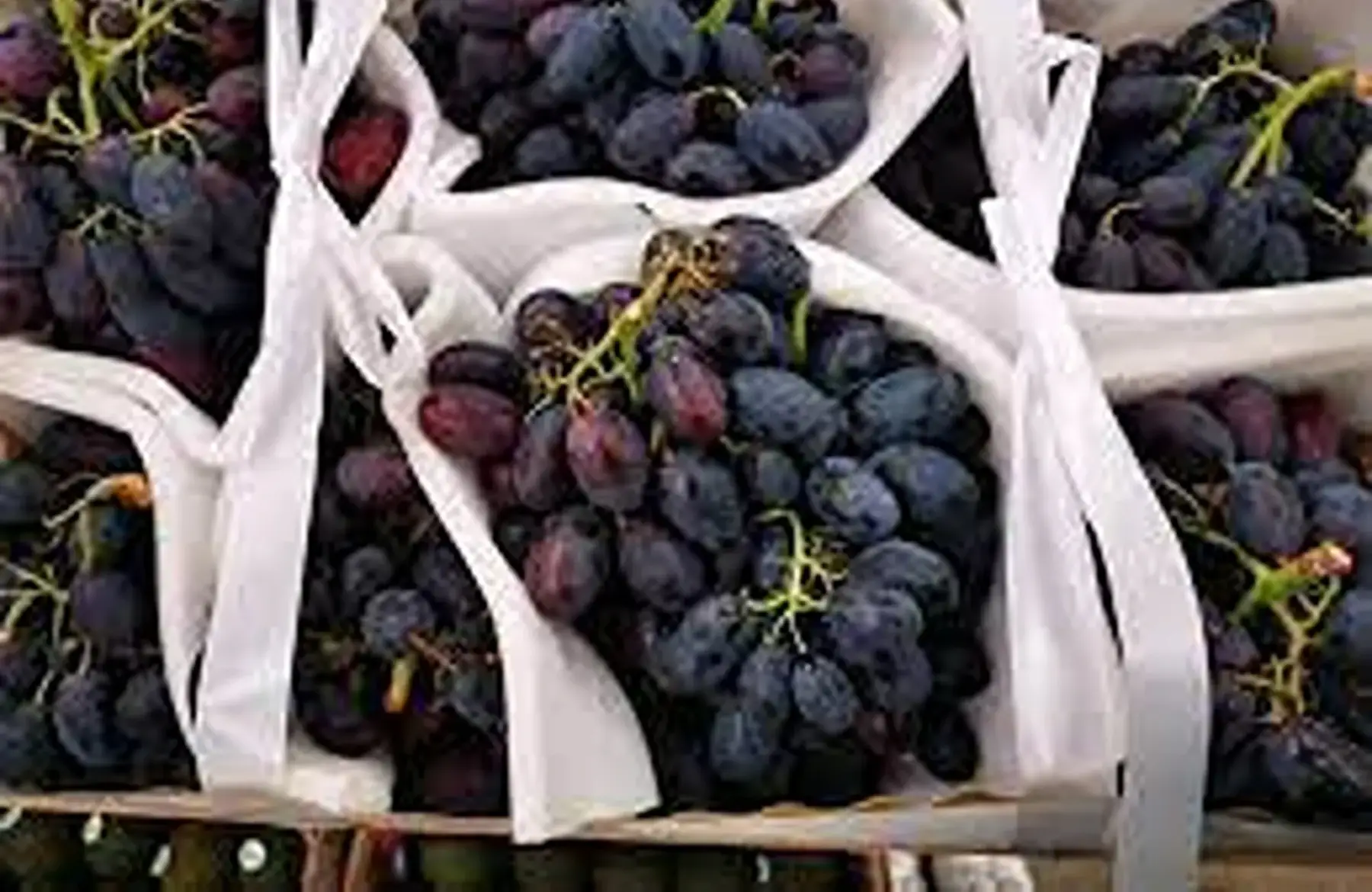 raisin noire prima de France