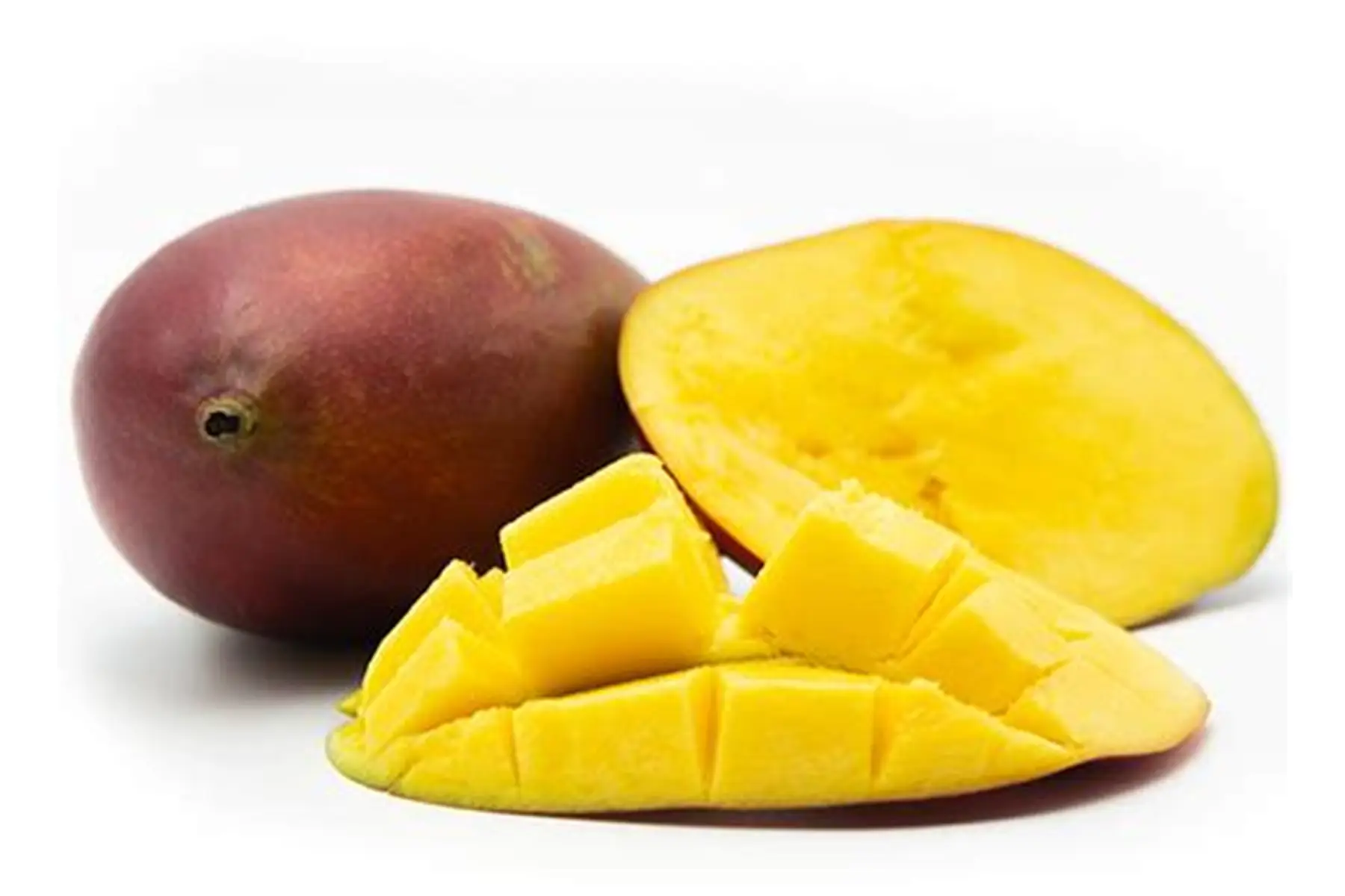 mangue olsten SUD-ESPAGNE