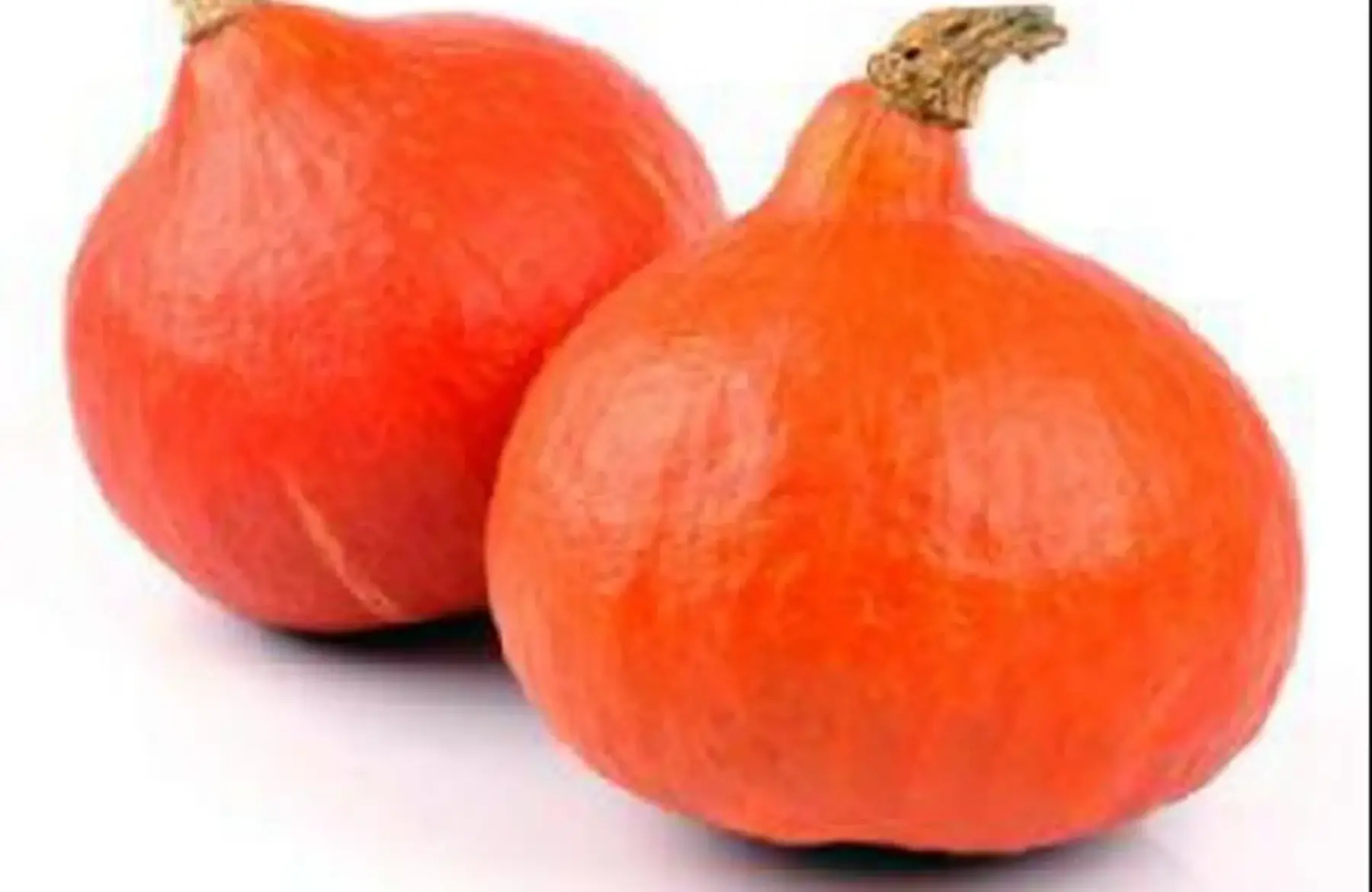 pottimarron