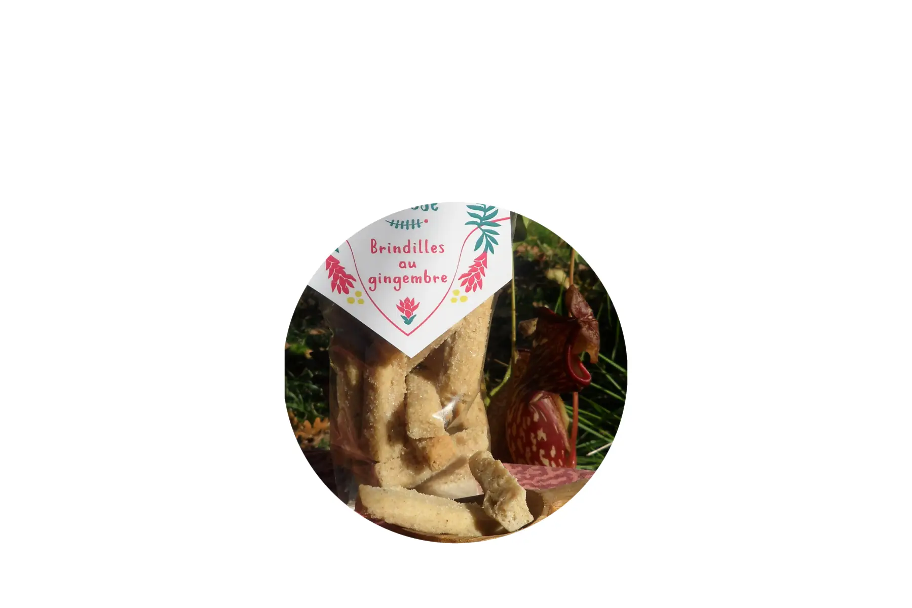 NOUVEAU! A-NOEL- Sachet brindilles au gingembre