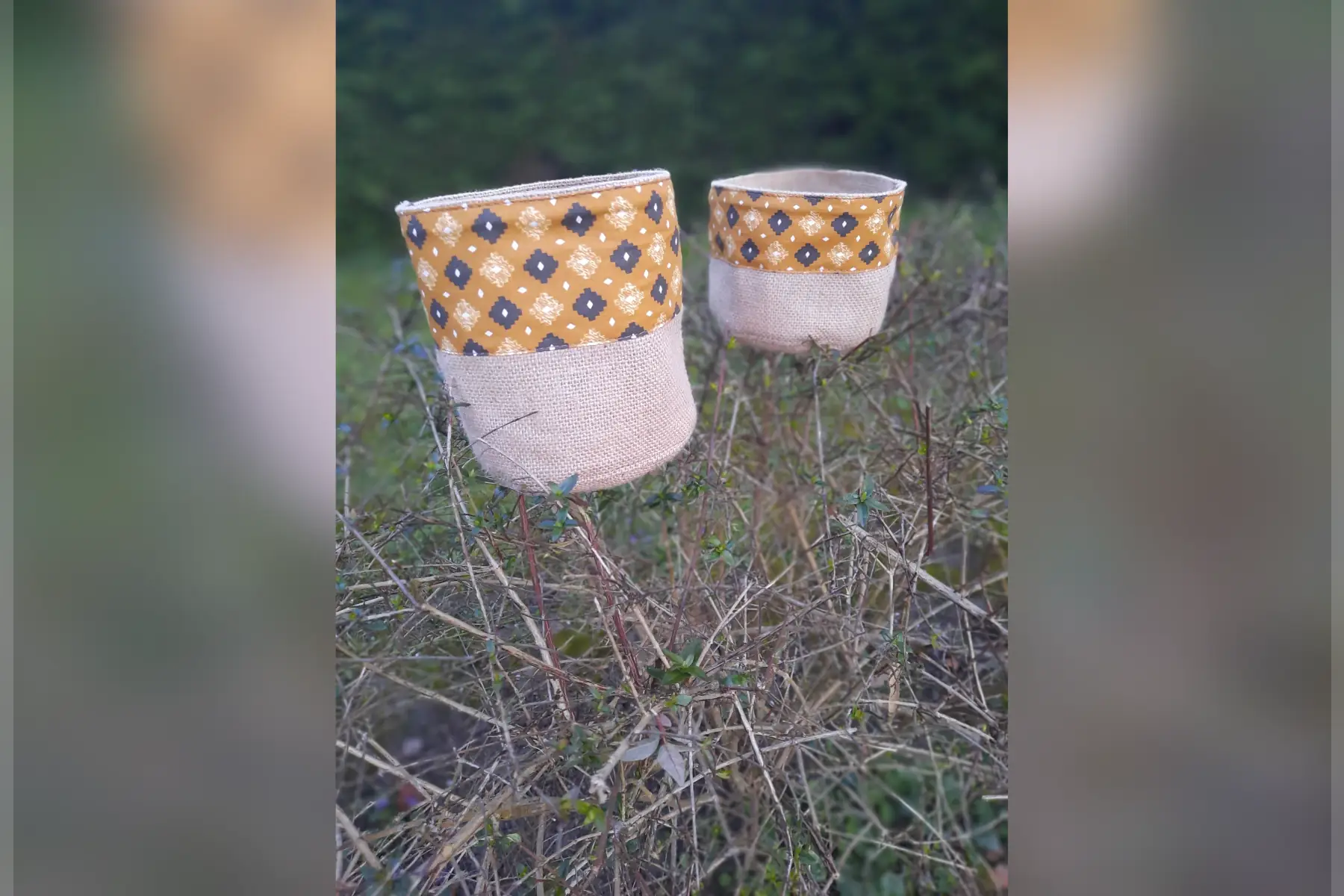 contenant cuisine "moutarde "