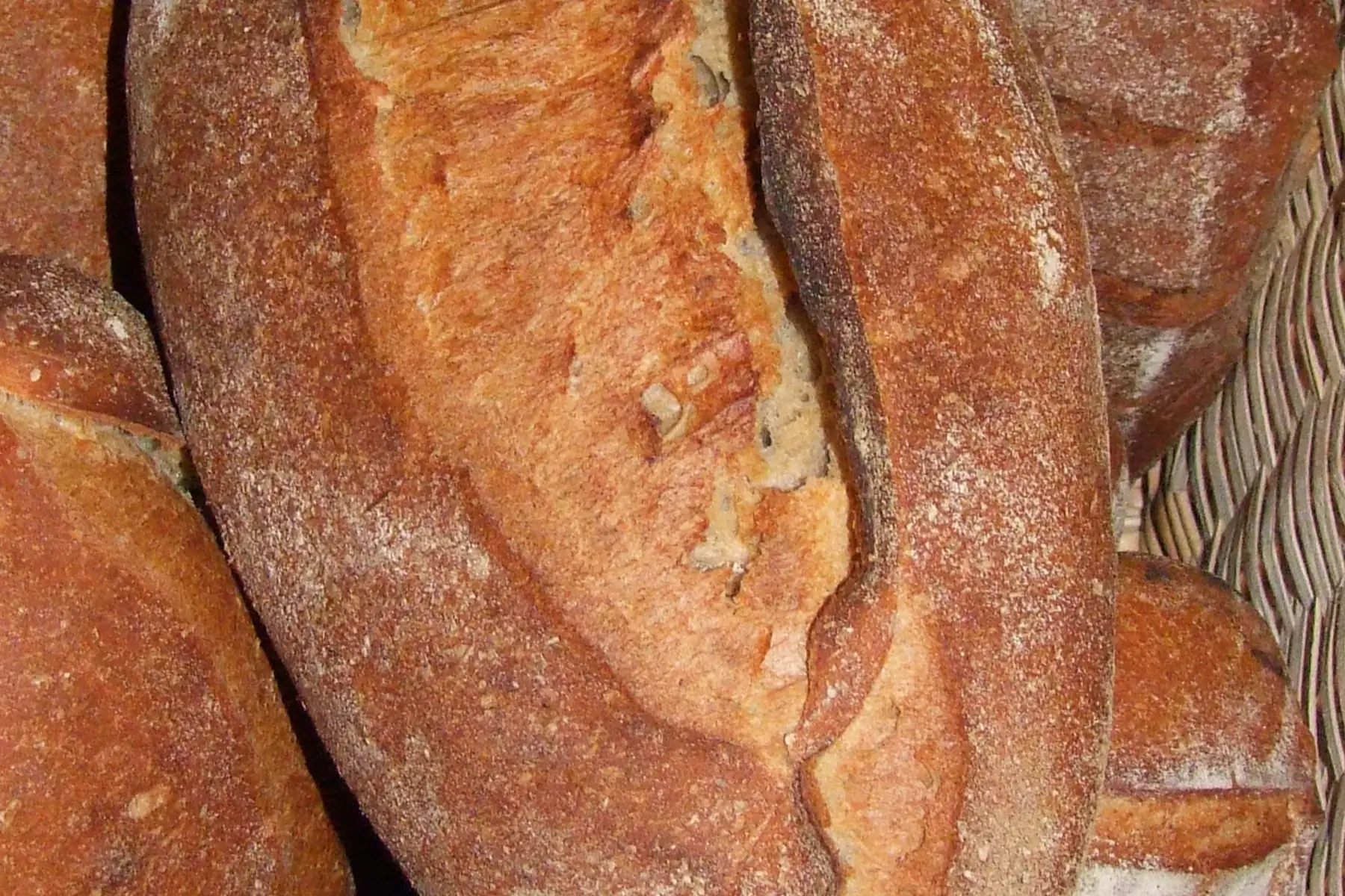 campagne 1kg