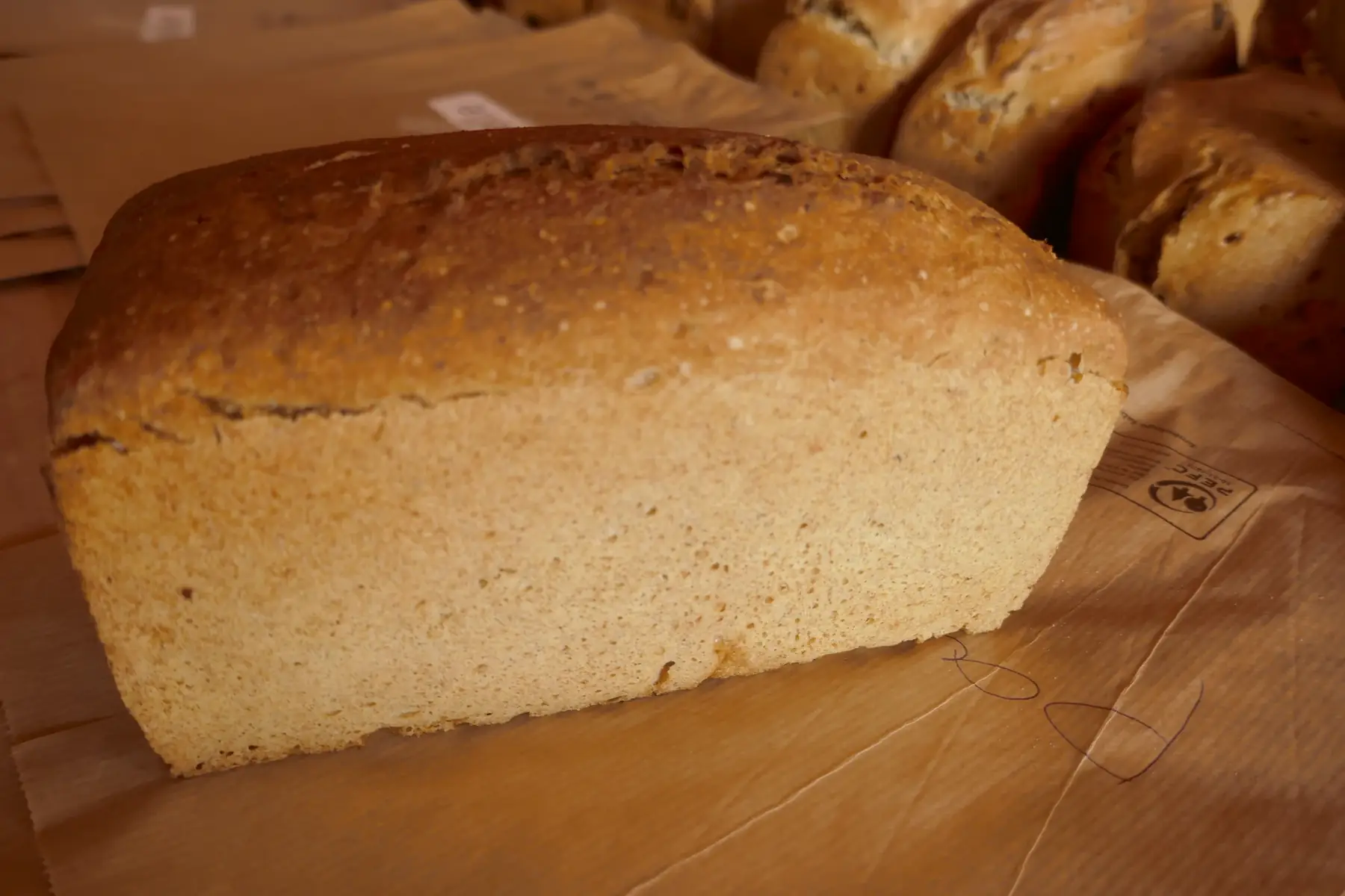 petit épeautre