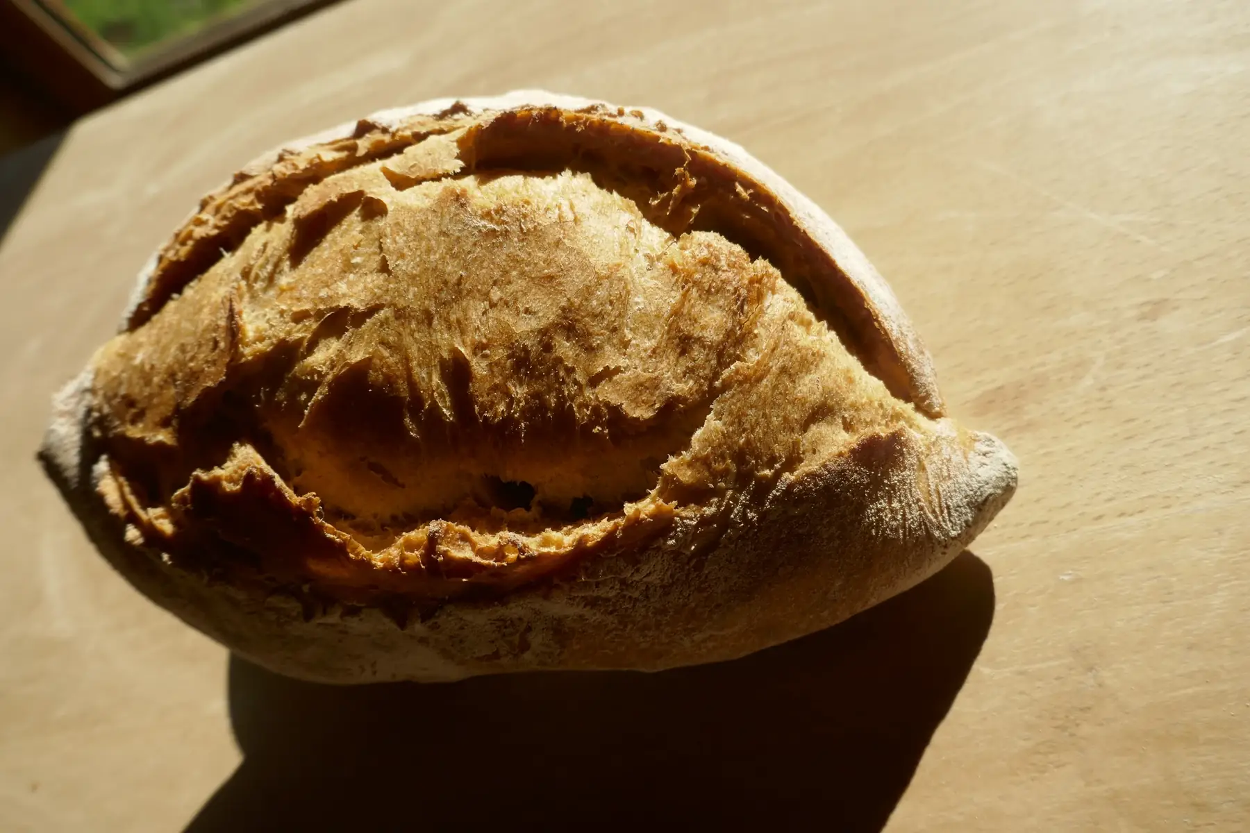 campagne 500g