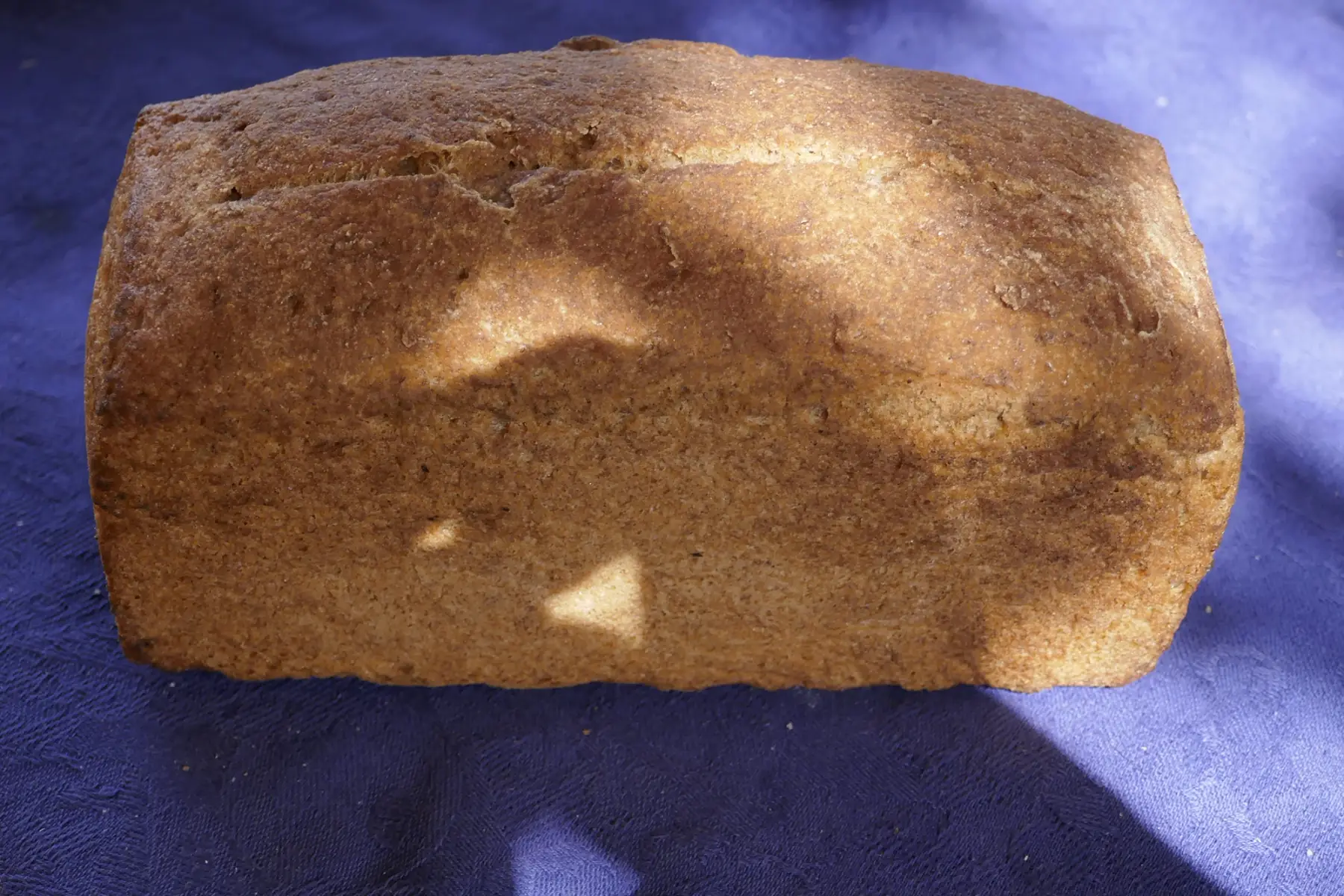 pain sans gluten " le sarisain"