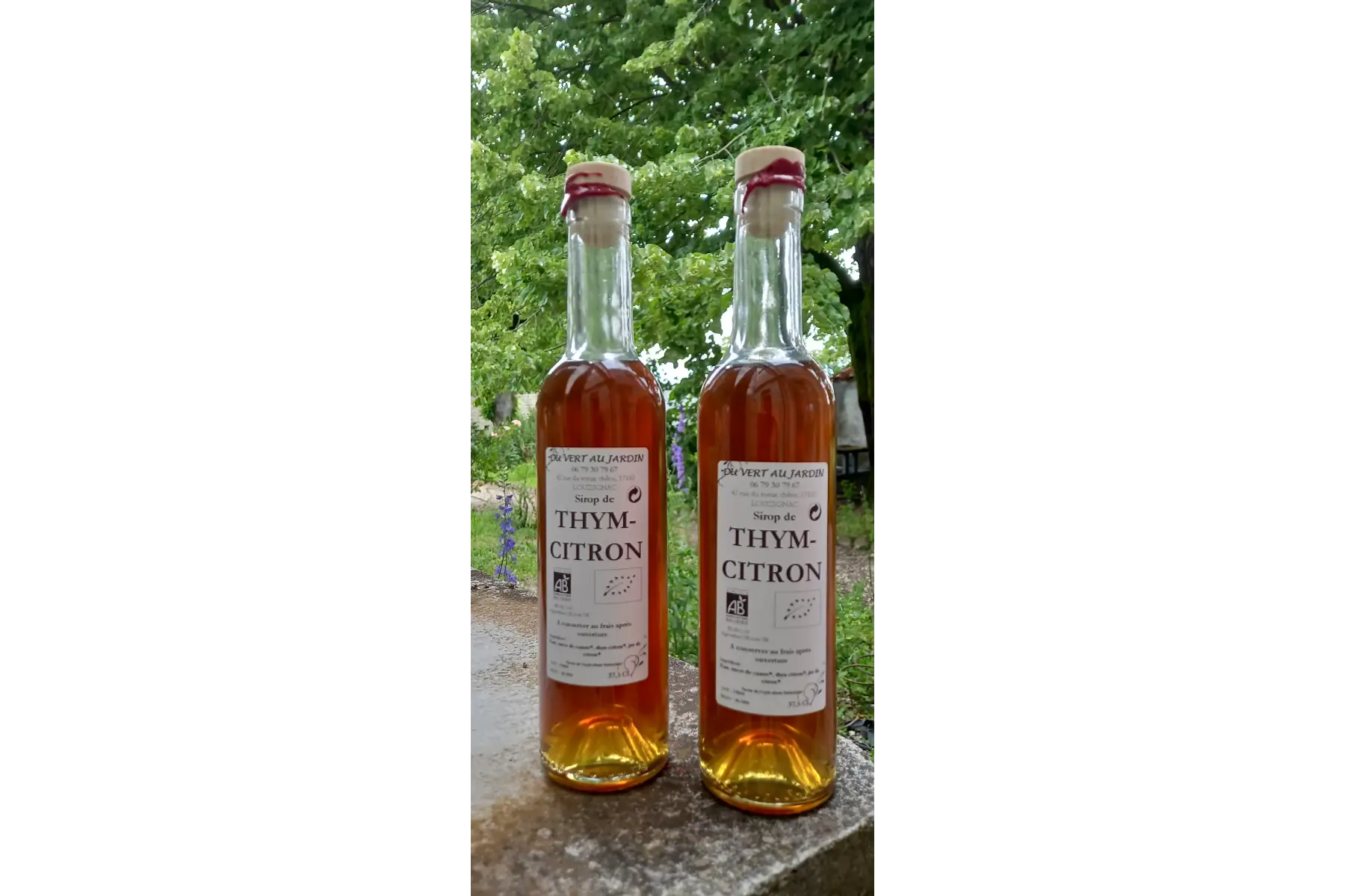 sirop de thym-citron
