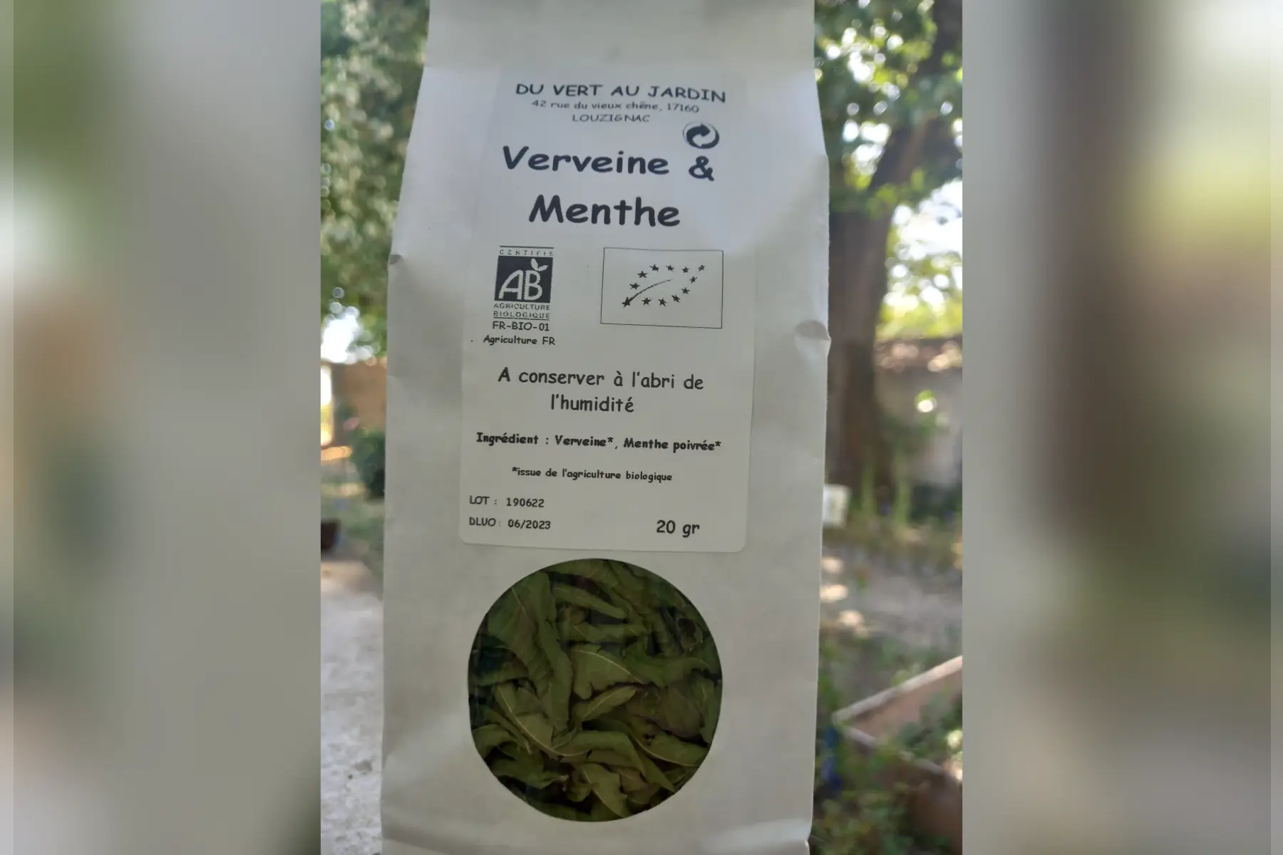 verveine menthe