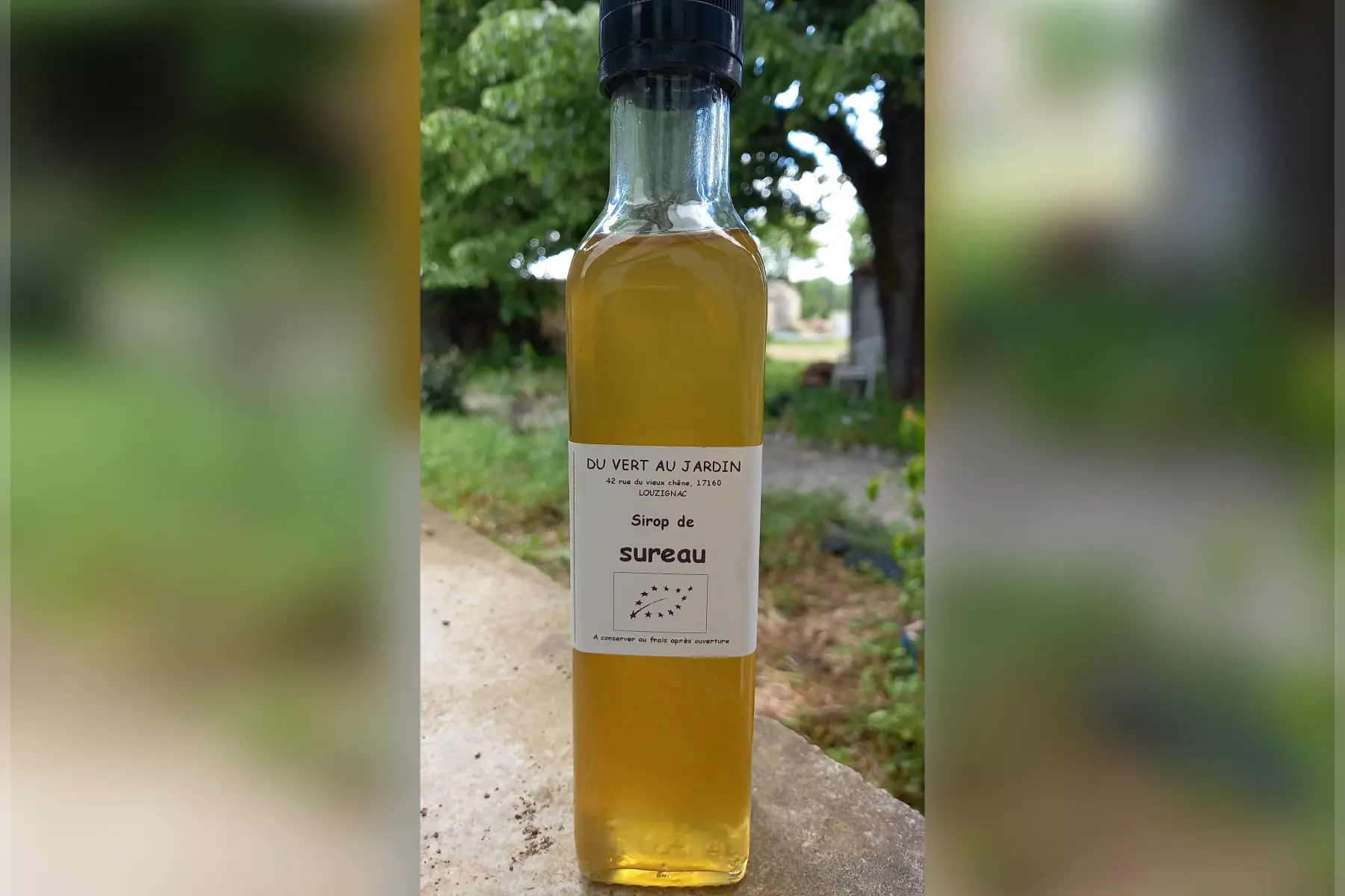 sirop de fleur de sureau