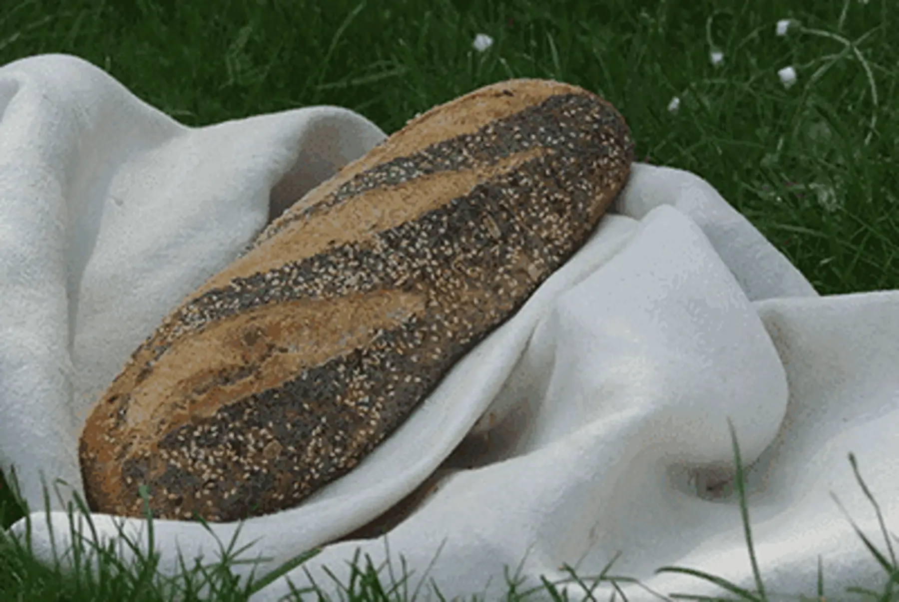 pain aux graines 400g