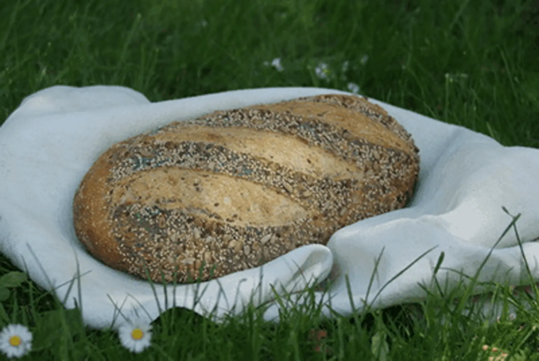 pain aux graines 800g