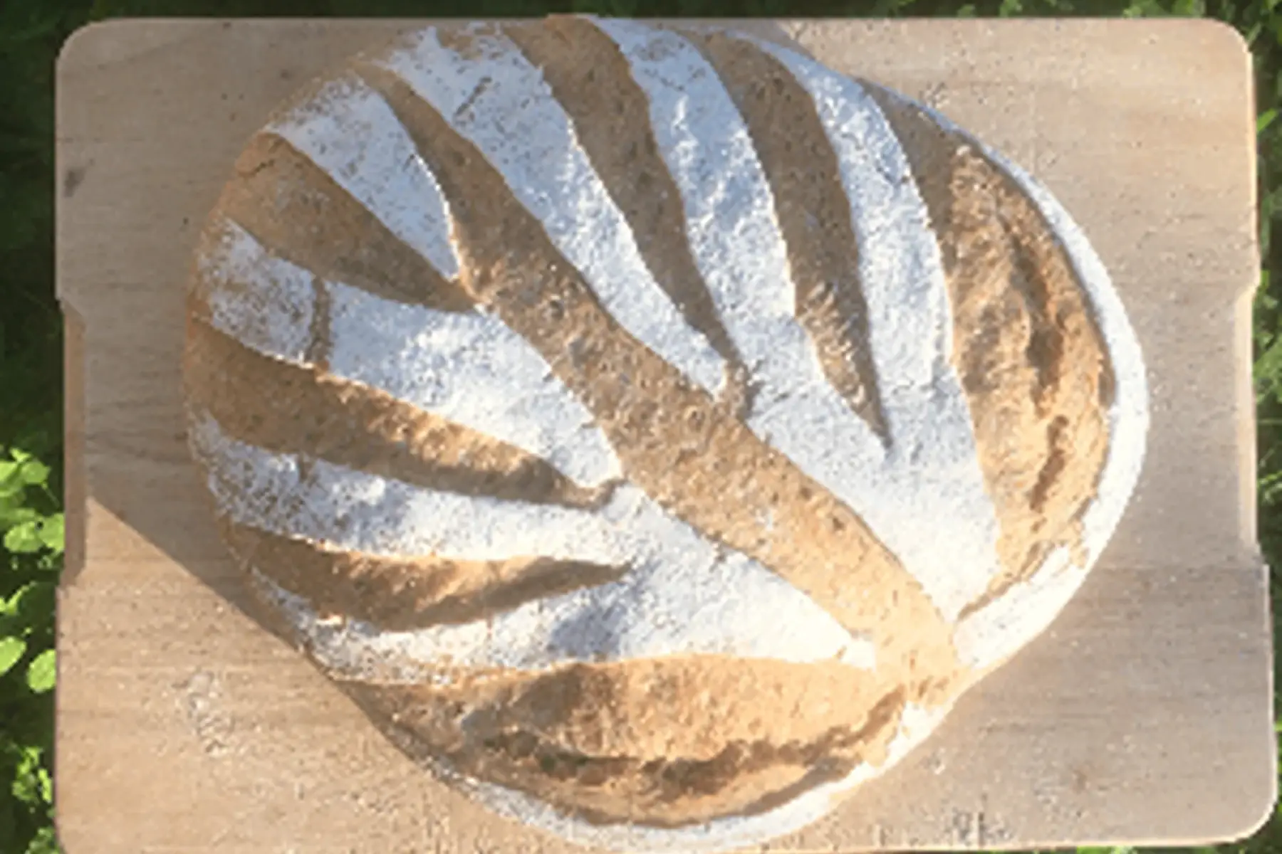 pain de campagne 1kg