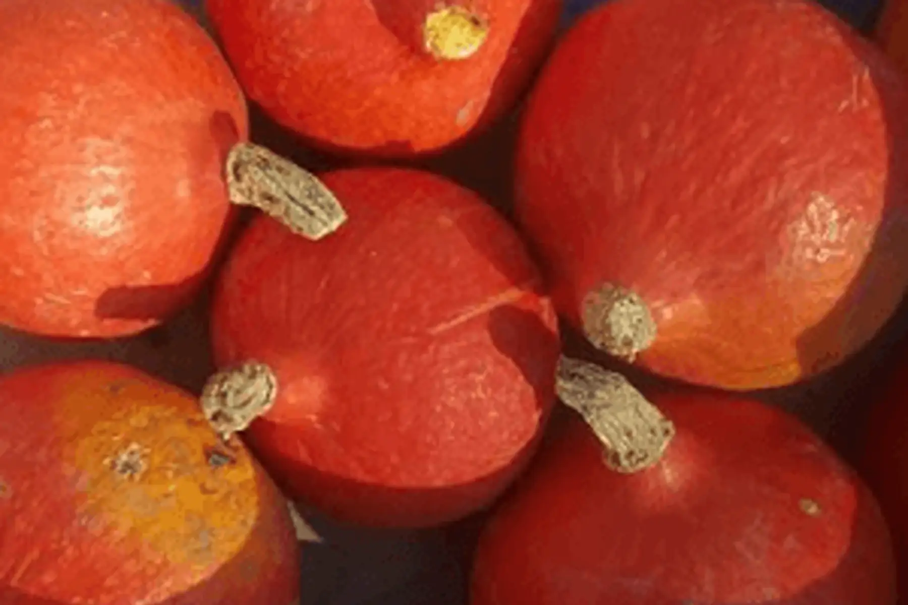 potimarron 1kg