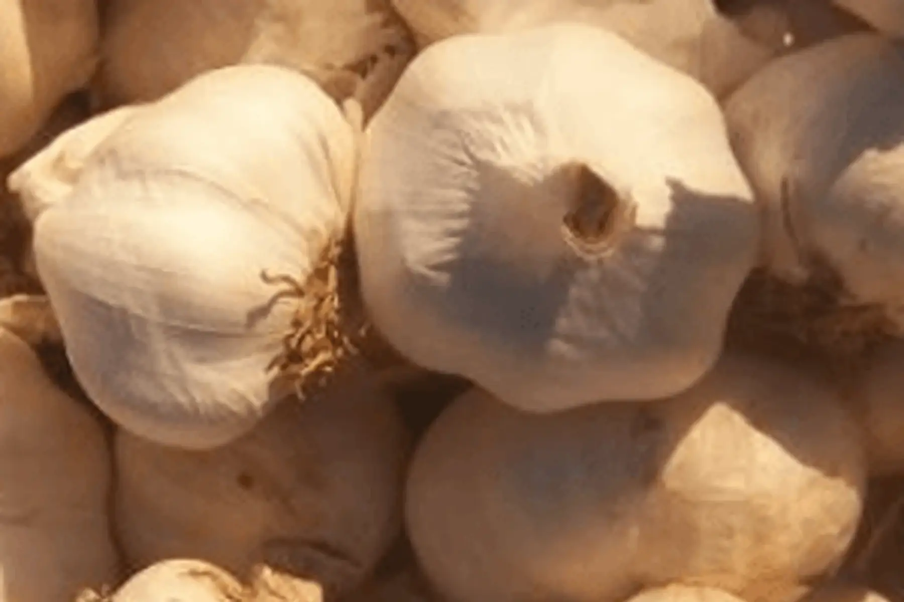 ail 80g