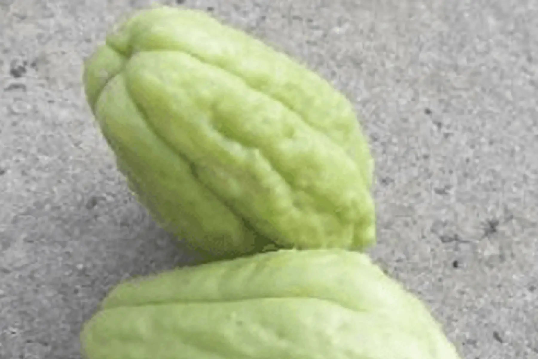 christophine 500g