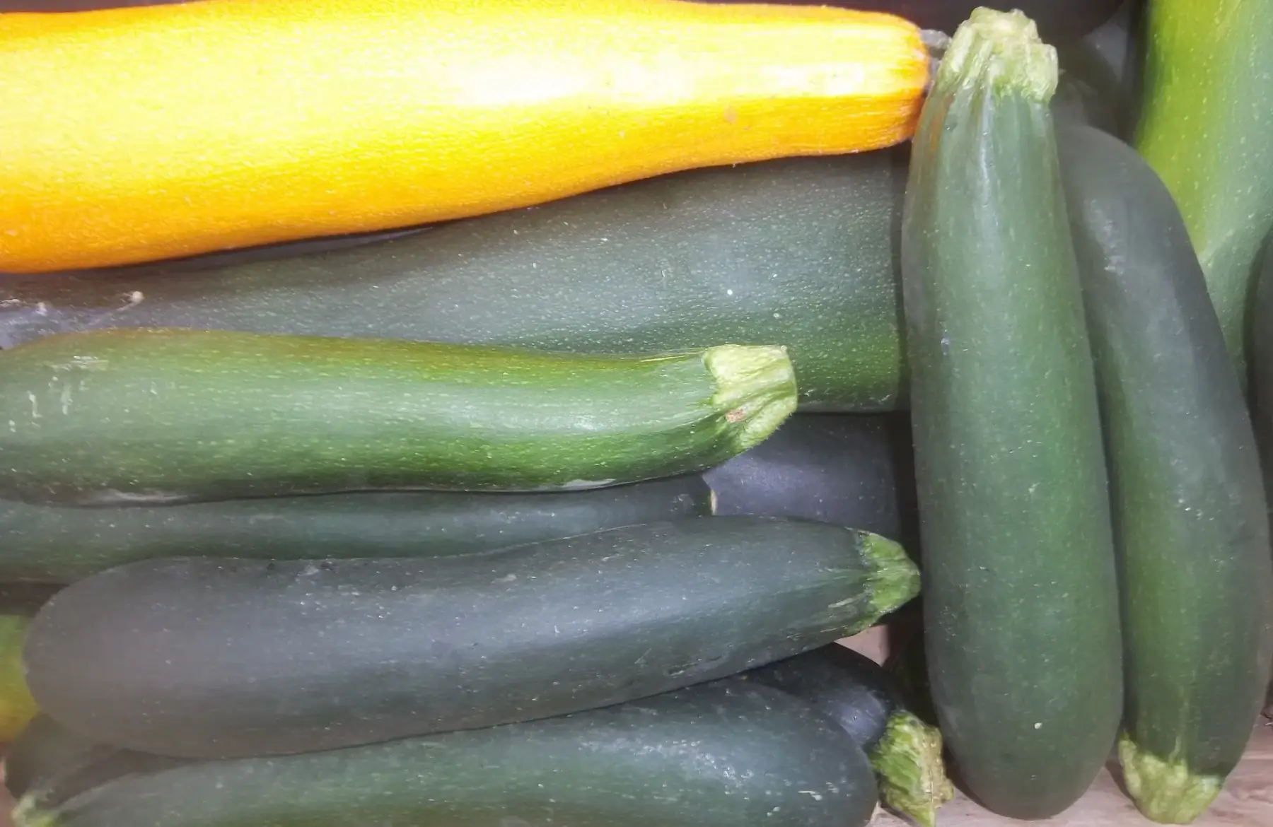 courgettes