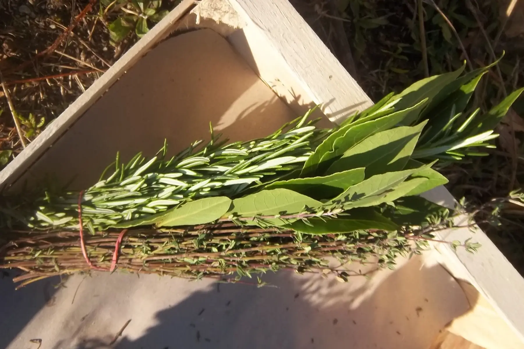 bouquet garni 35g