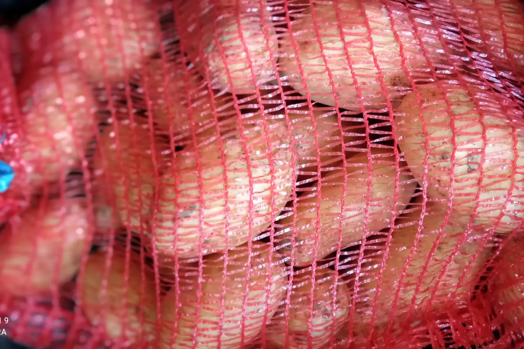 filet de pommes de terre d'été