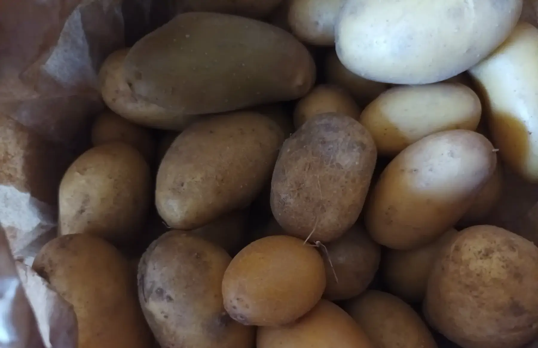 pommes de terre grenaille