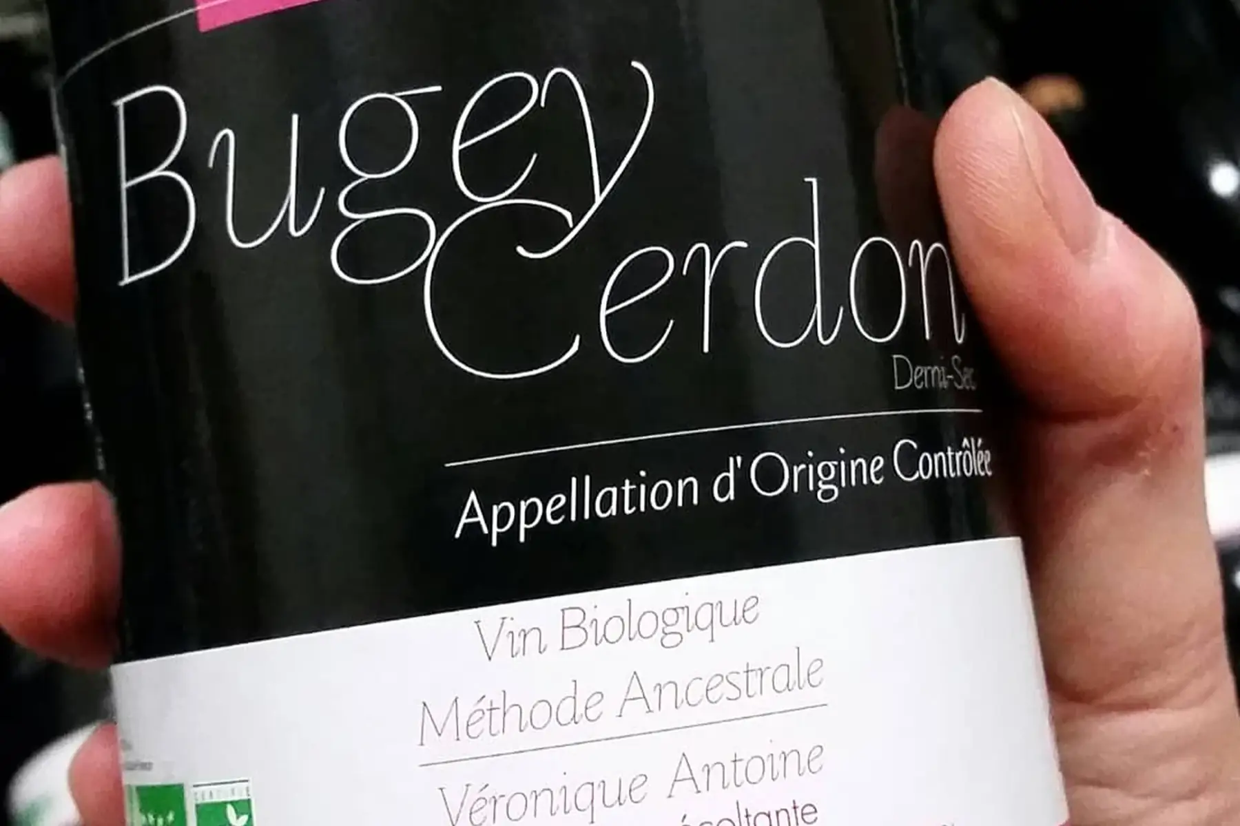vin du bugey cerdon 2024