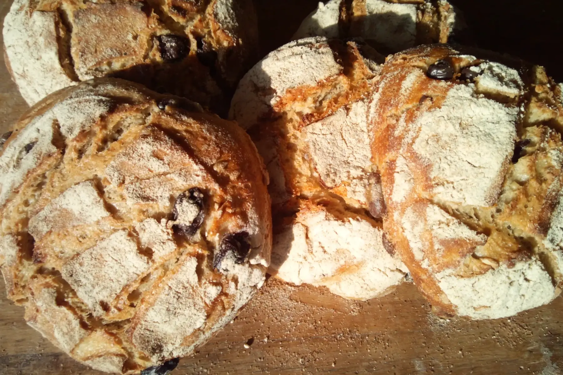 pain olive/tournesol bio