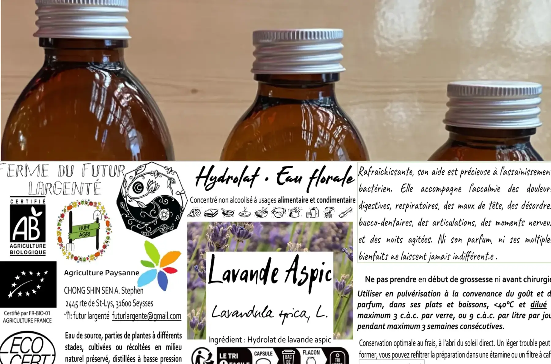 Lavande aspic (officinale)