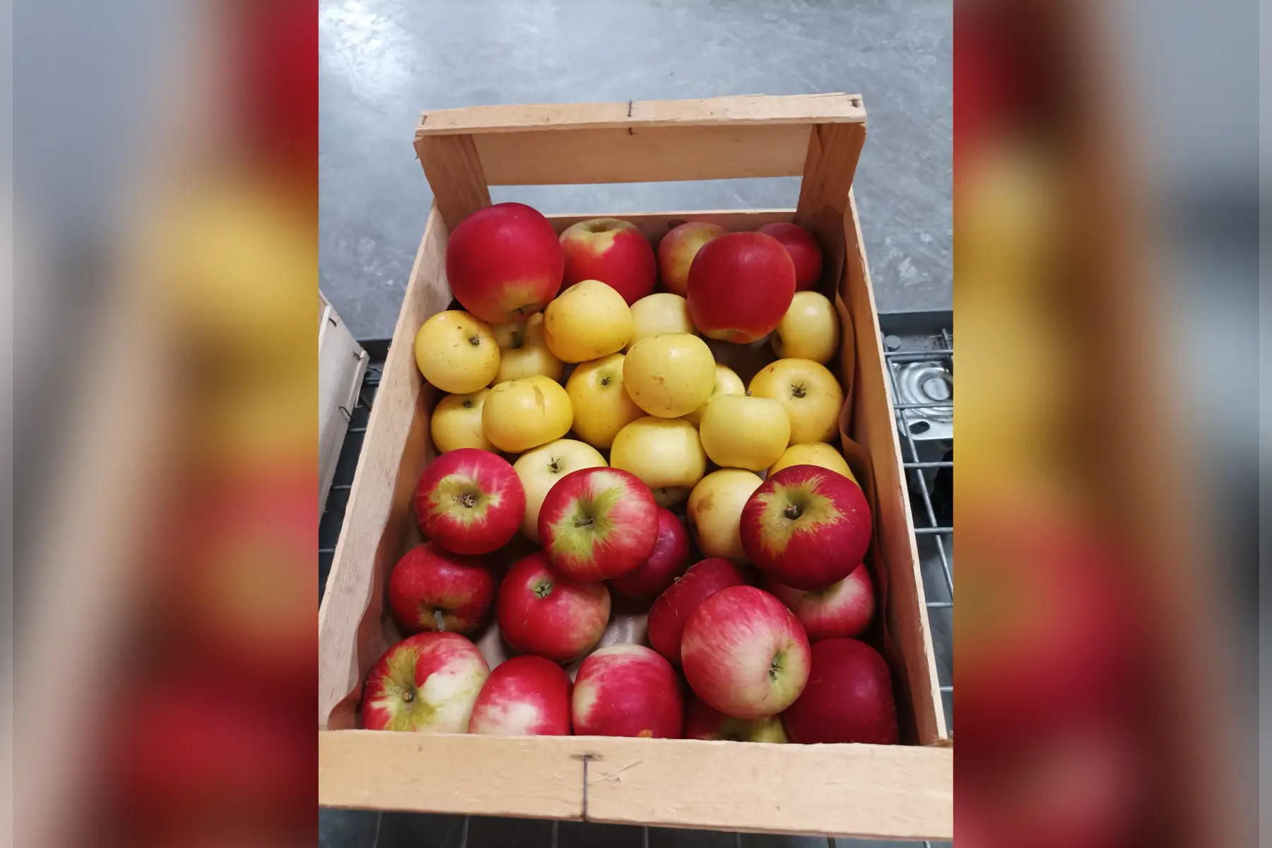 cageot de pommes - variétés mélangées - 3.5 kg