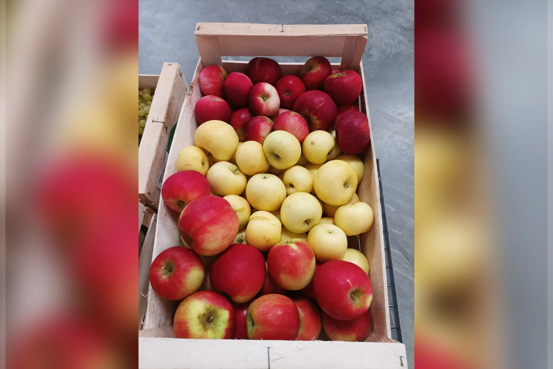 cageot de pommes - variétés mélangées - 7 kg