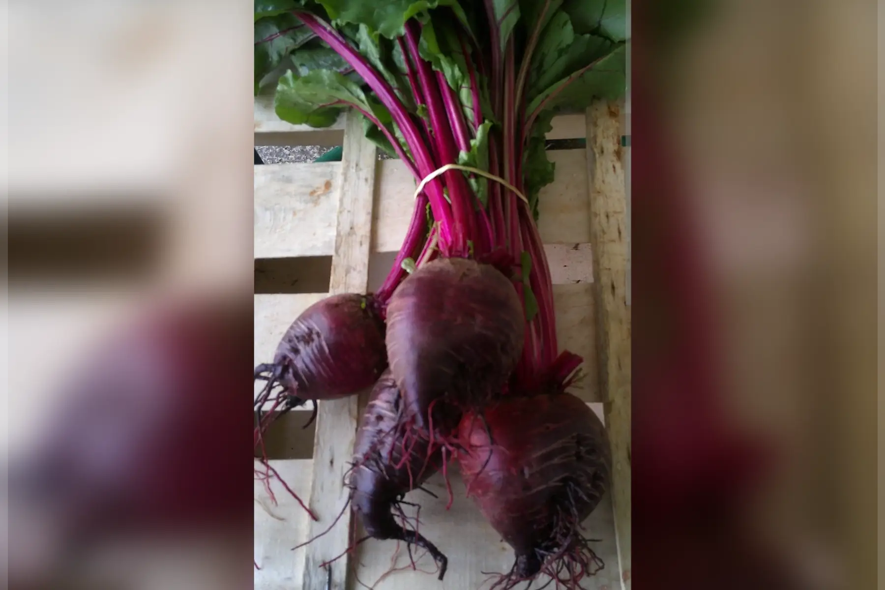 Les Coudercs du Bois Marteau