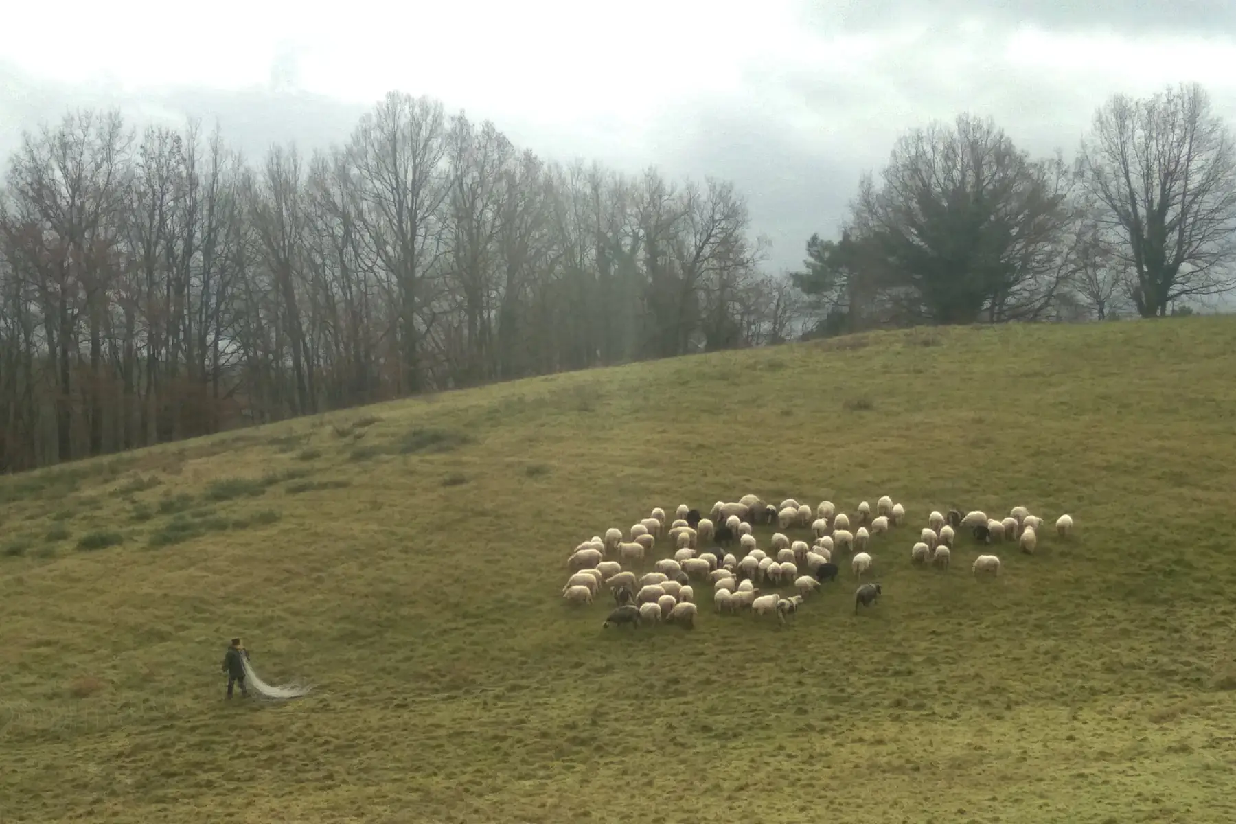 Gaec de maillac