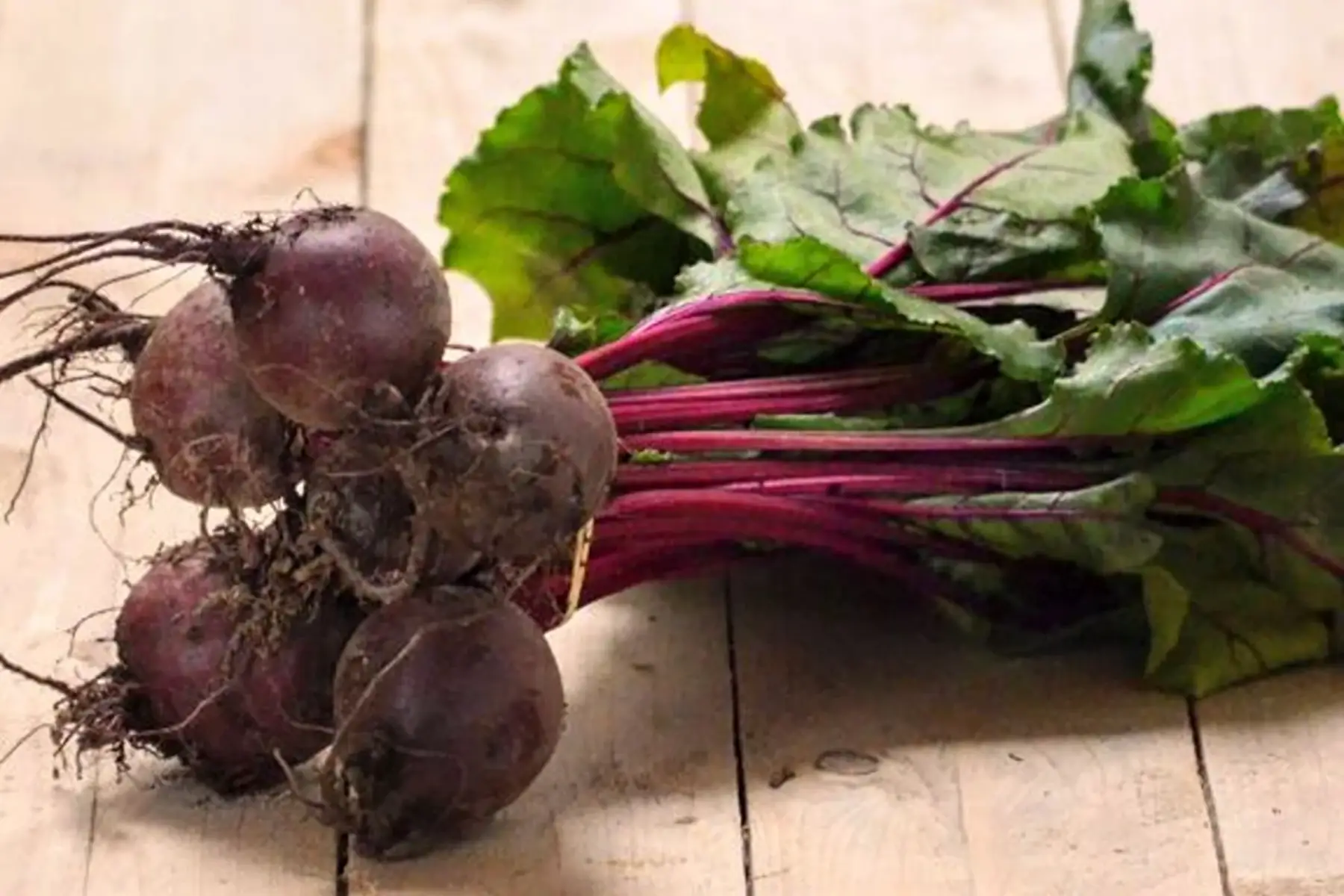 betterave