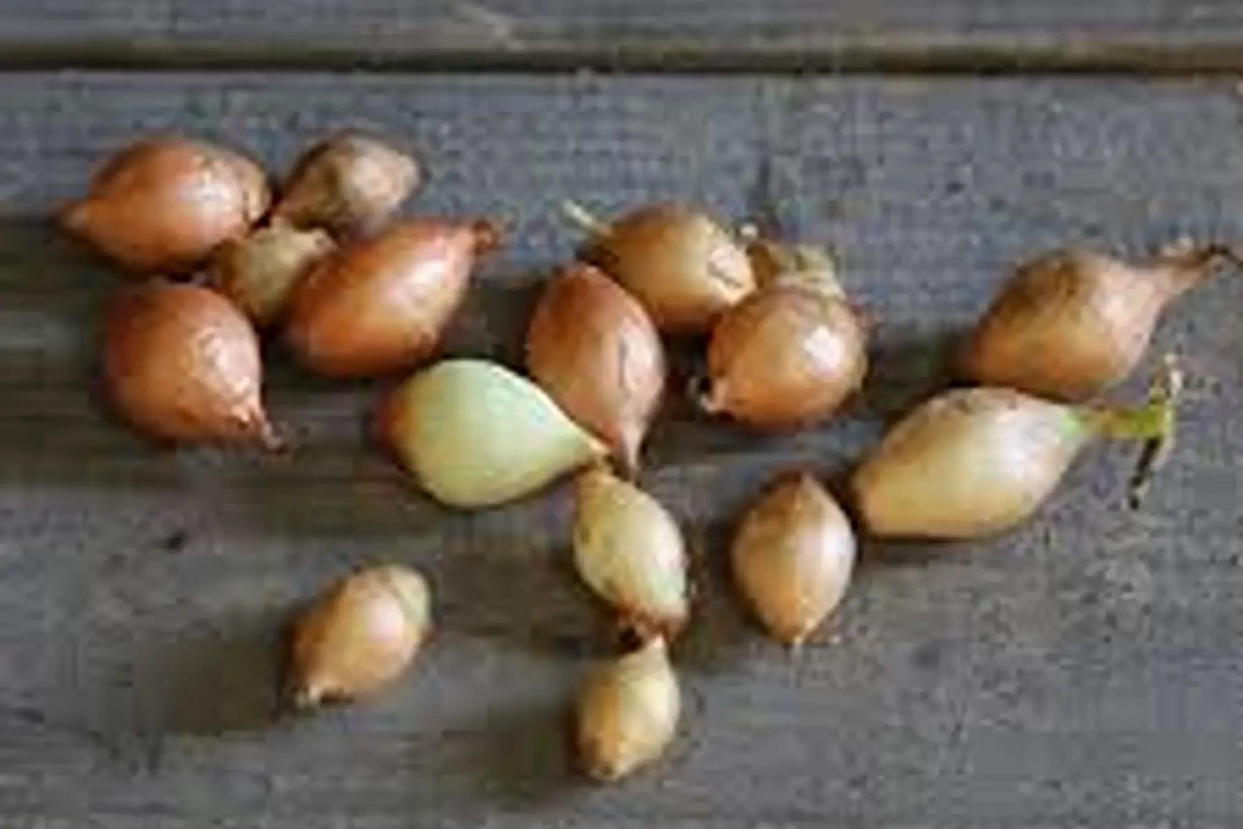 Légumes Maraîverie