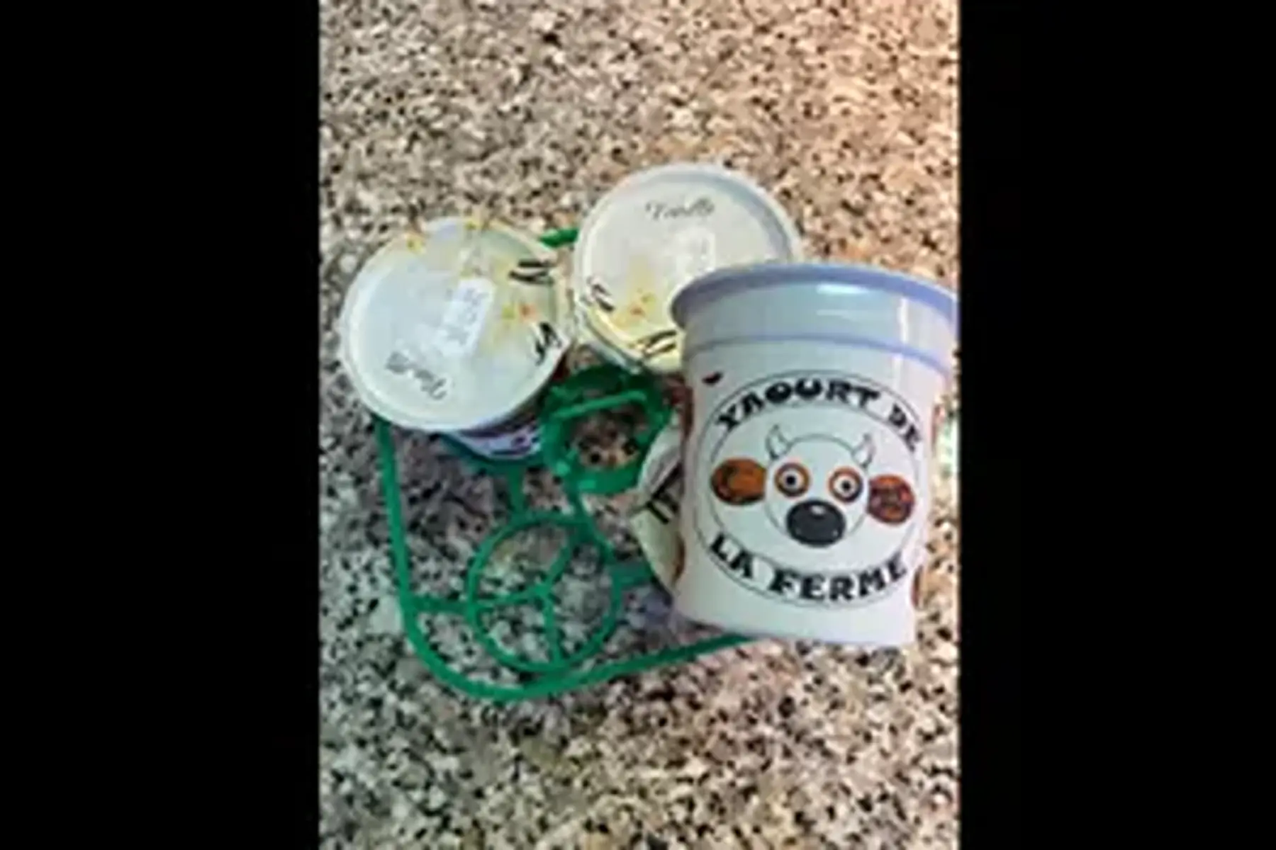 au profit du secours populaire : pack de 4 yaourts vanille