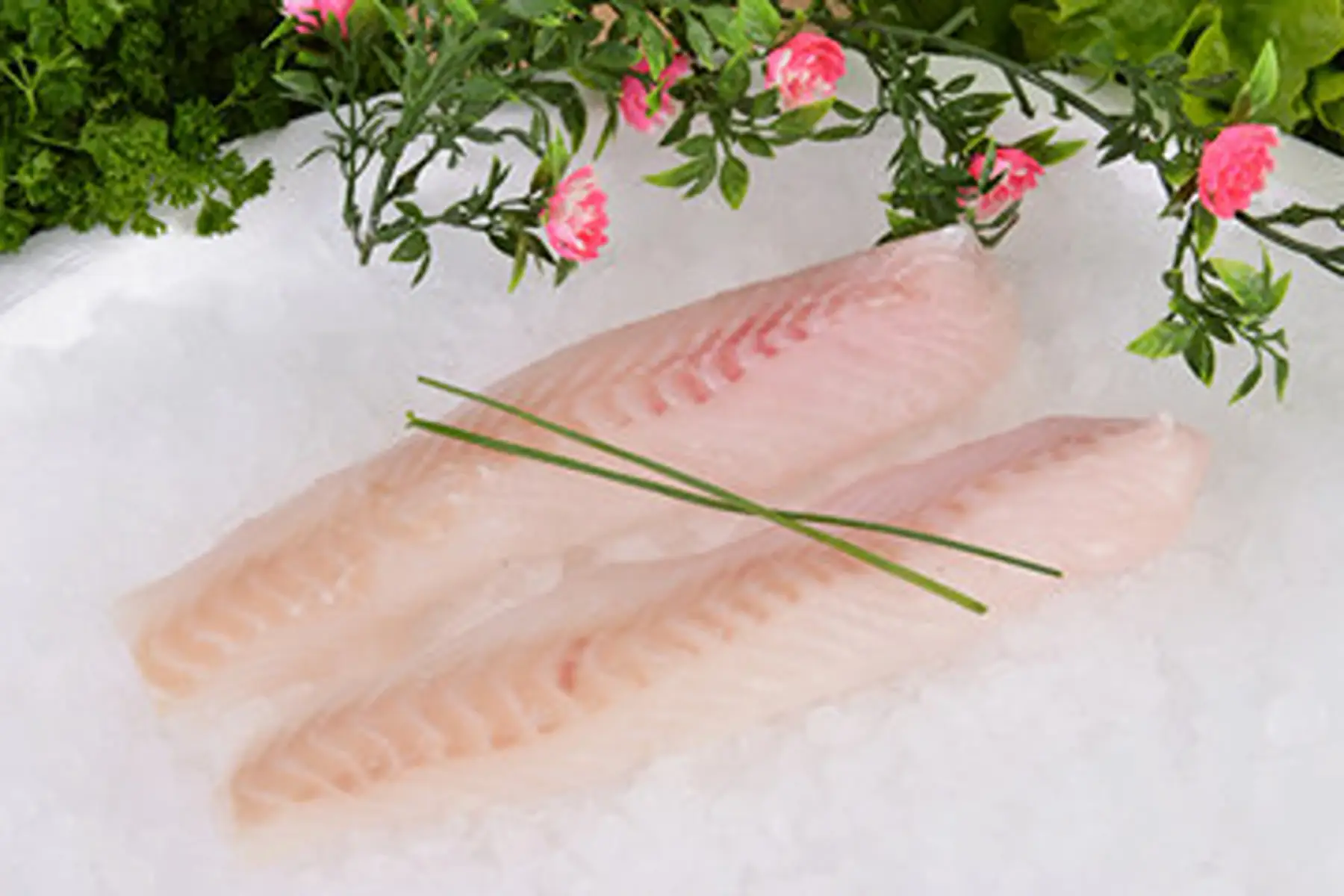 dos de poisson (cabillaud)