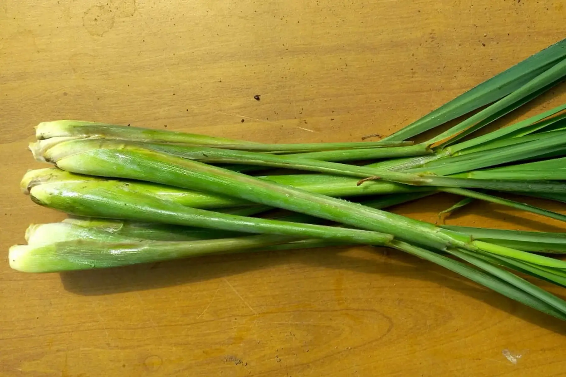 citronnelle fraîche