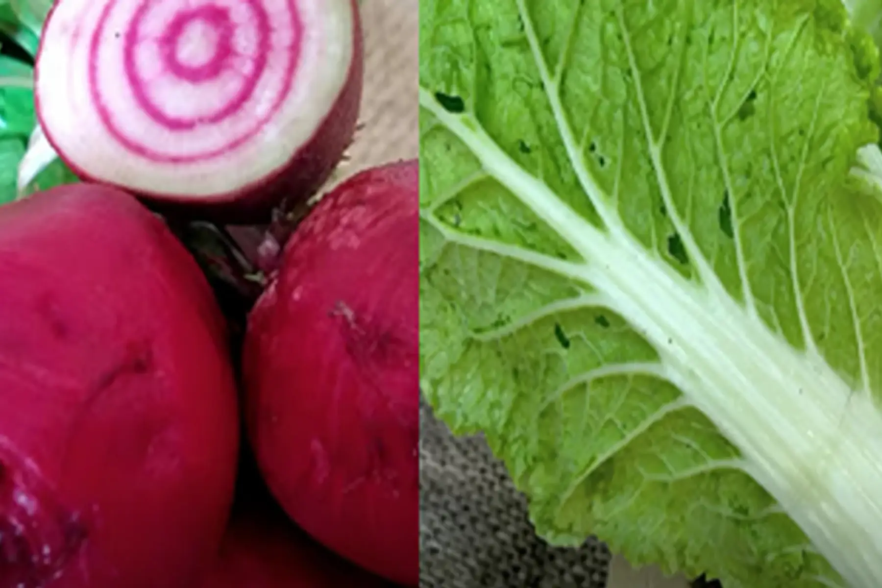 duo chioggia/pé-tsai