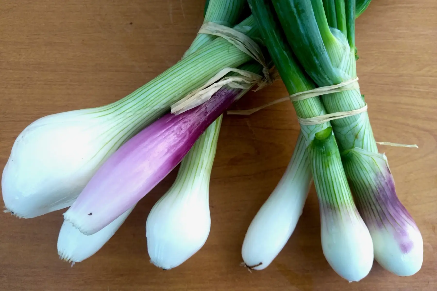 duo oignons nouveaux/échalottes nouvelles