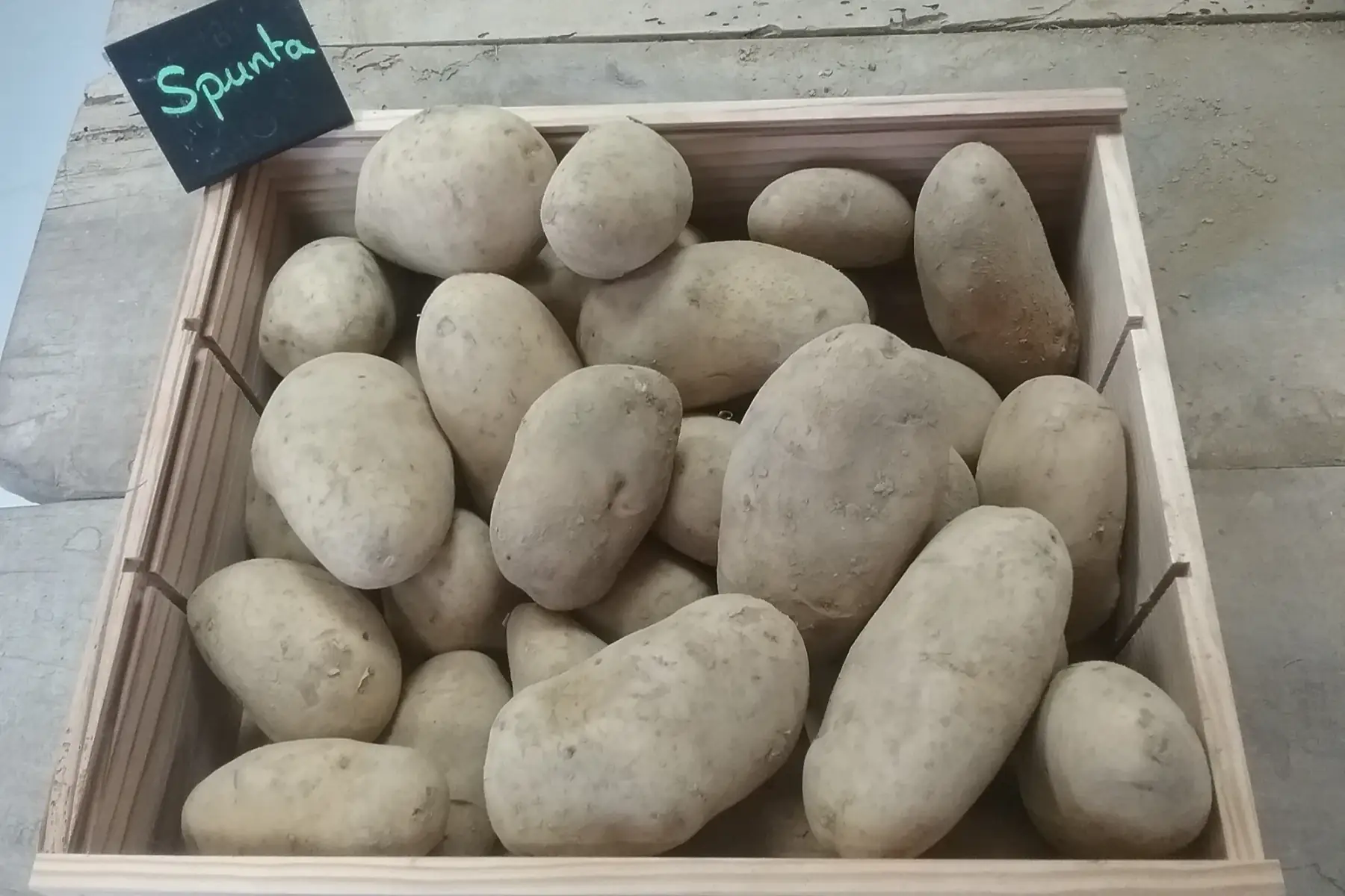 pommes de terre Bio Variété Maïween