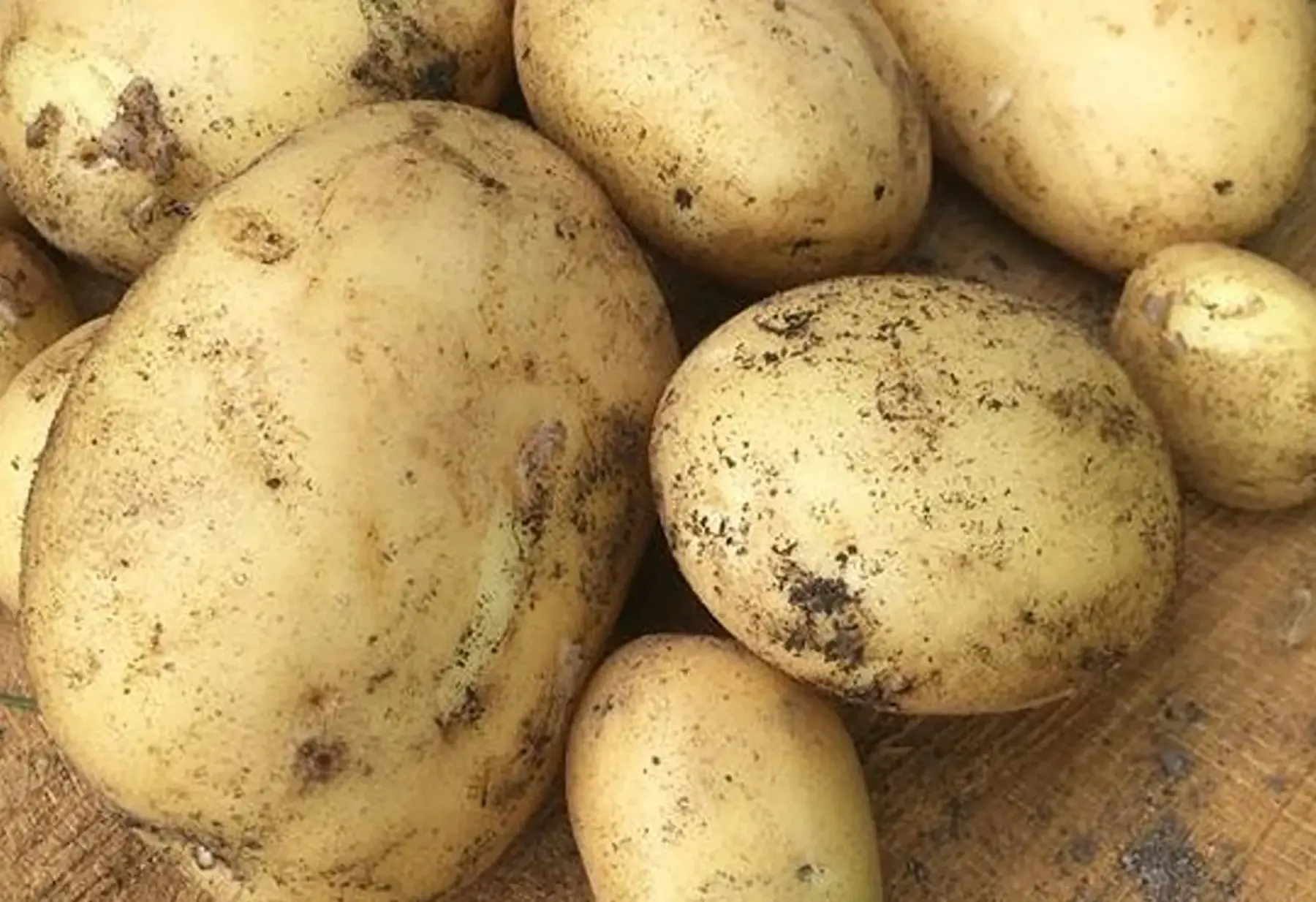 pommes de terre