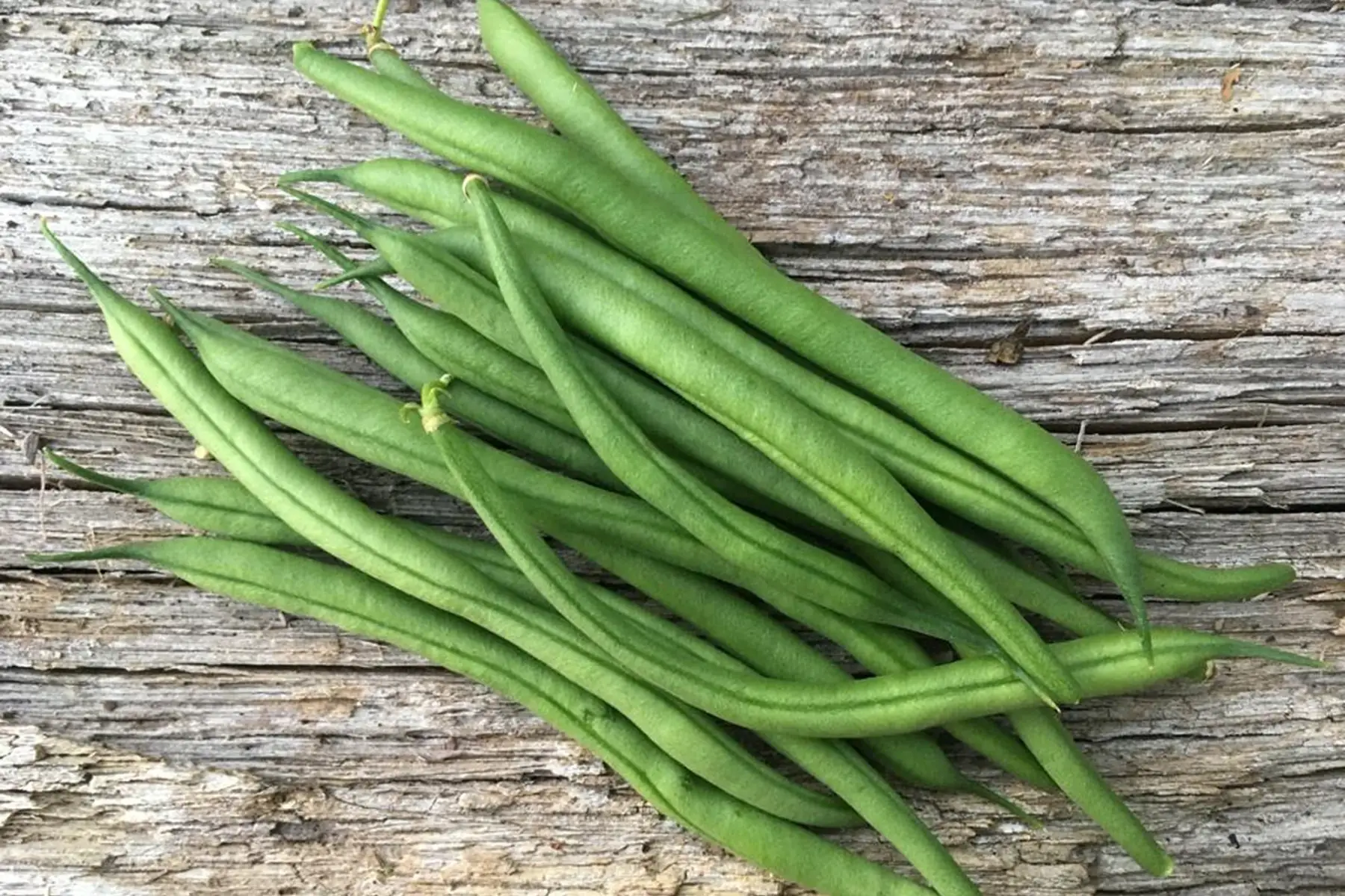 haricots verts